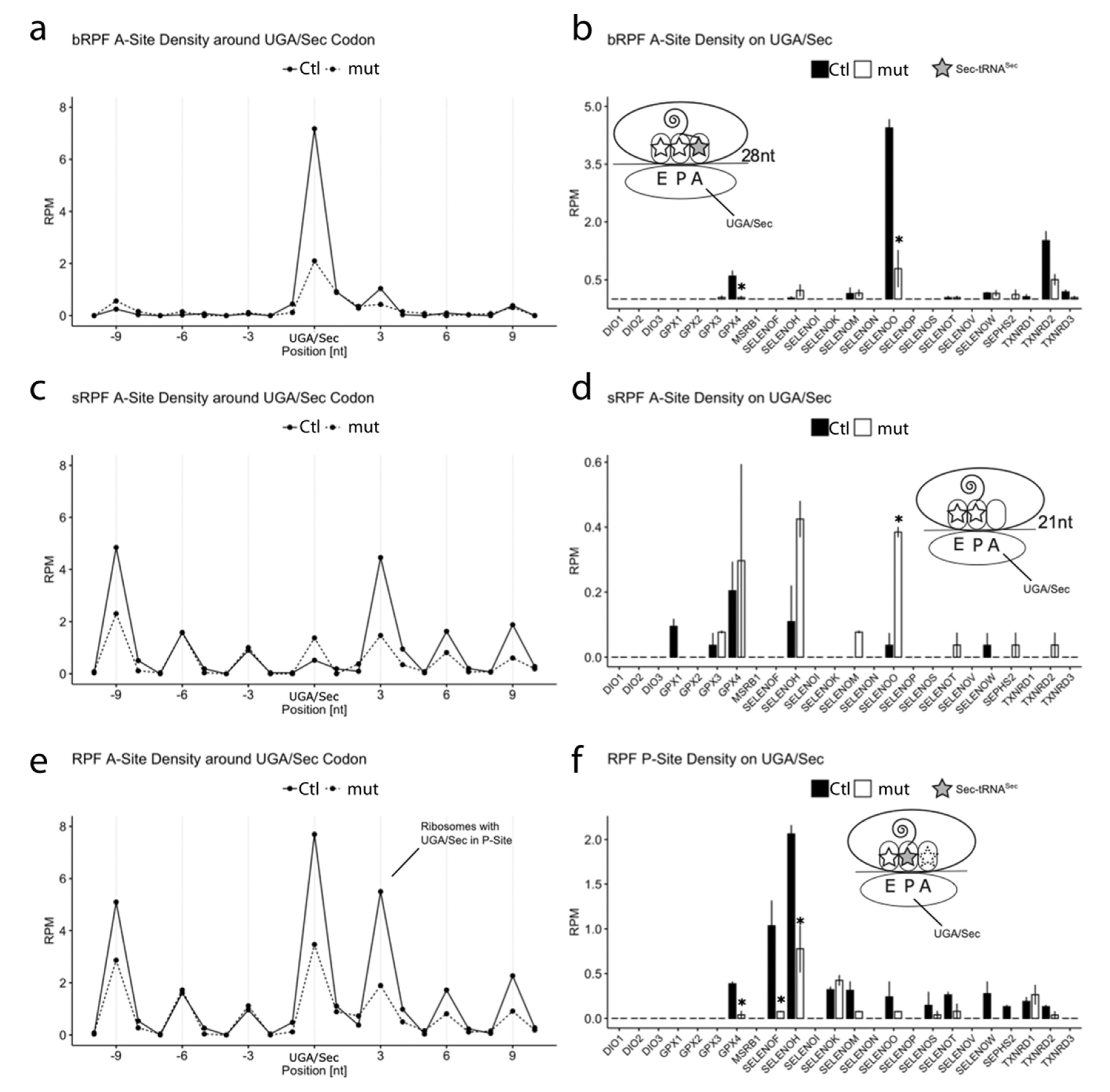Biomolecules 12 01504 g005 Biomolecules 12 01504 g005