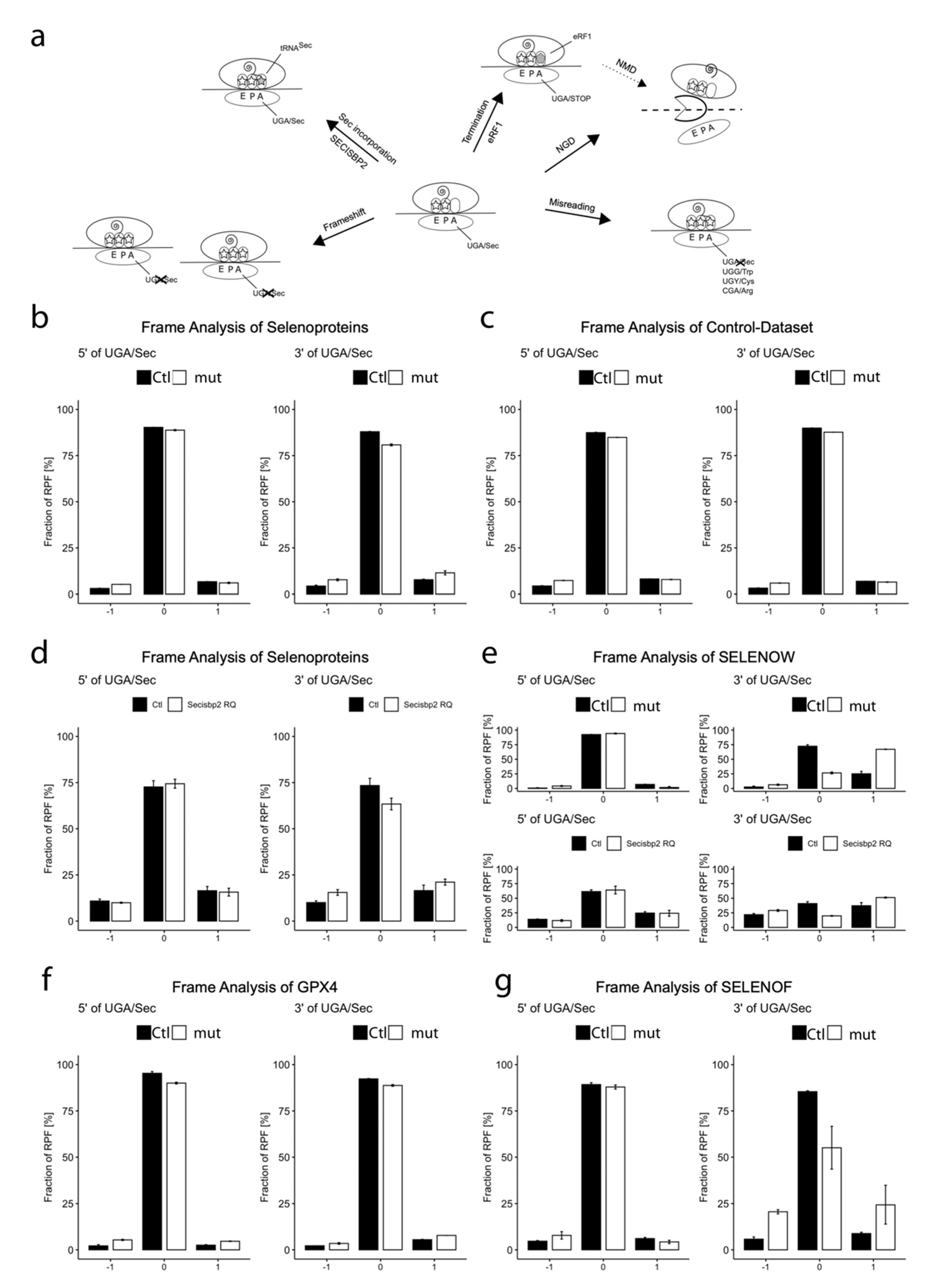 Biomolecules 12 01504 g006 Biomolecules 12 01504 g006