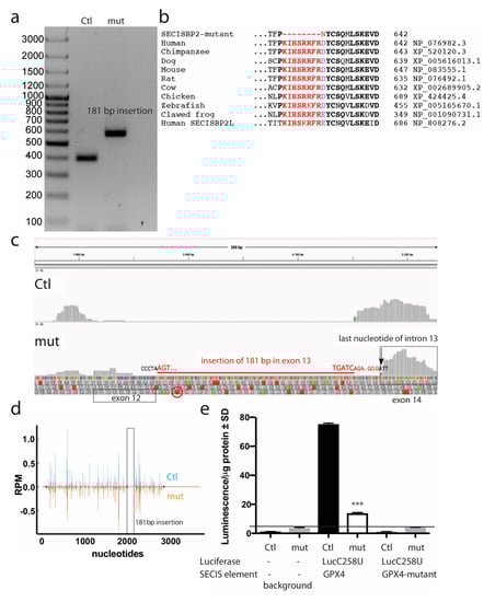 Biomolecules 12 01504 g0a1