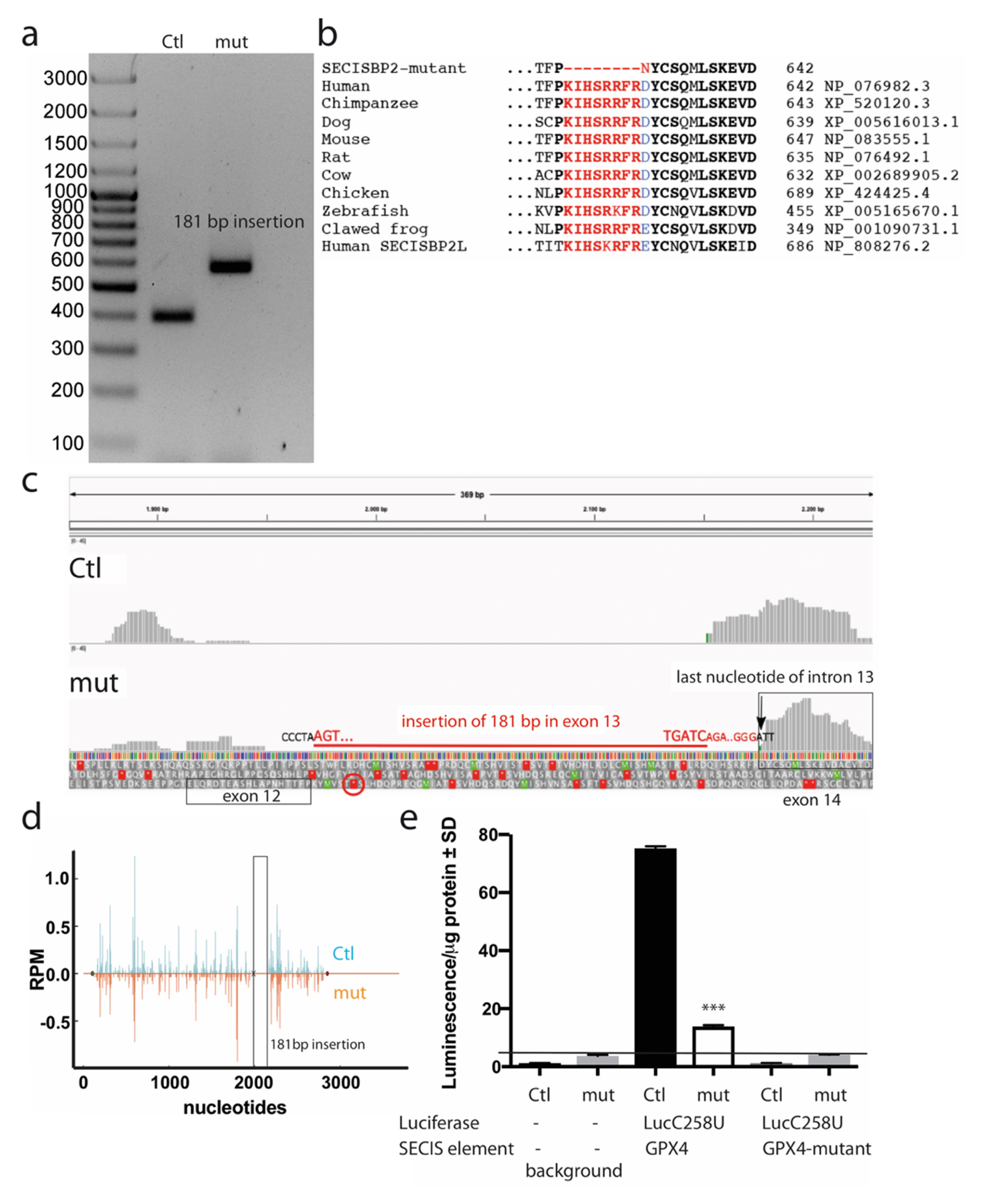 Biomolecules 12 01504 g0a1 Biomolecules 12 01504 g0a1