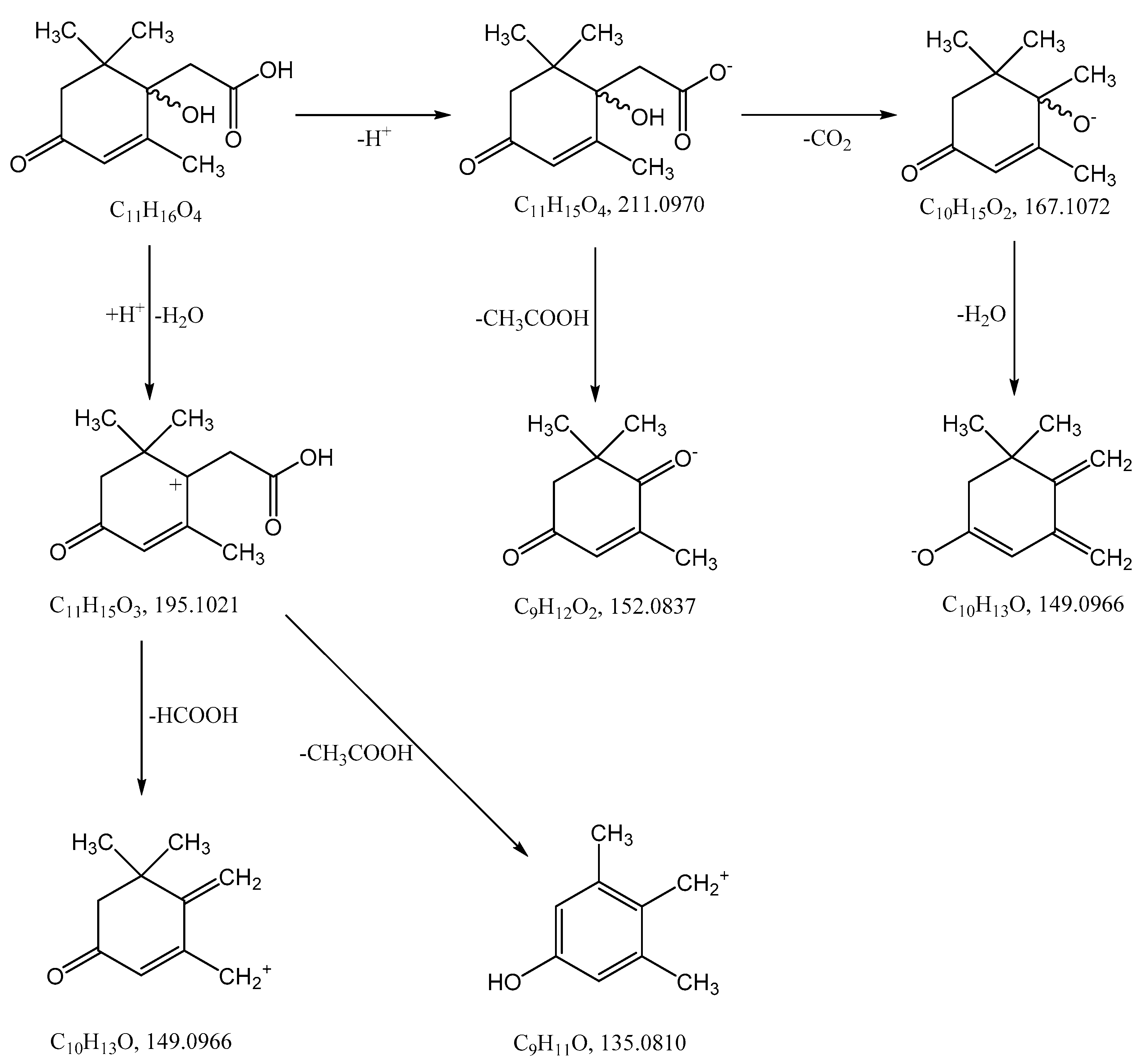Biomolecules 12 01508 g004