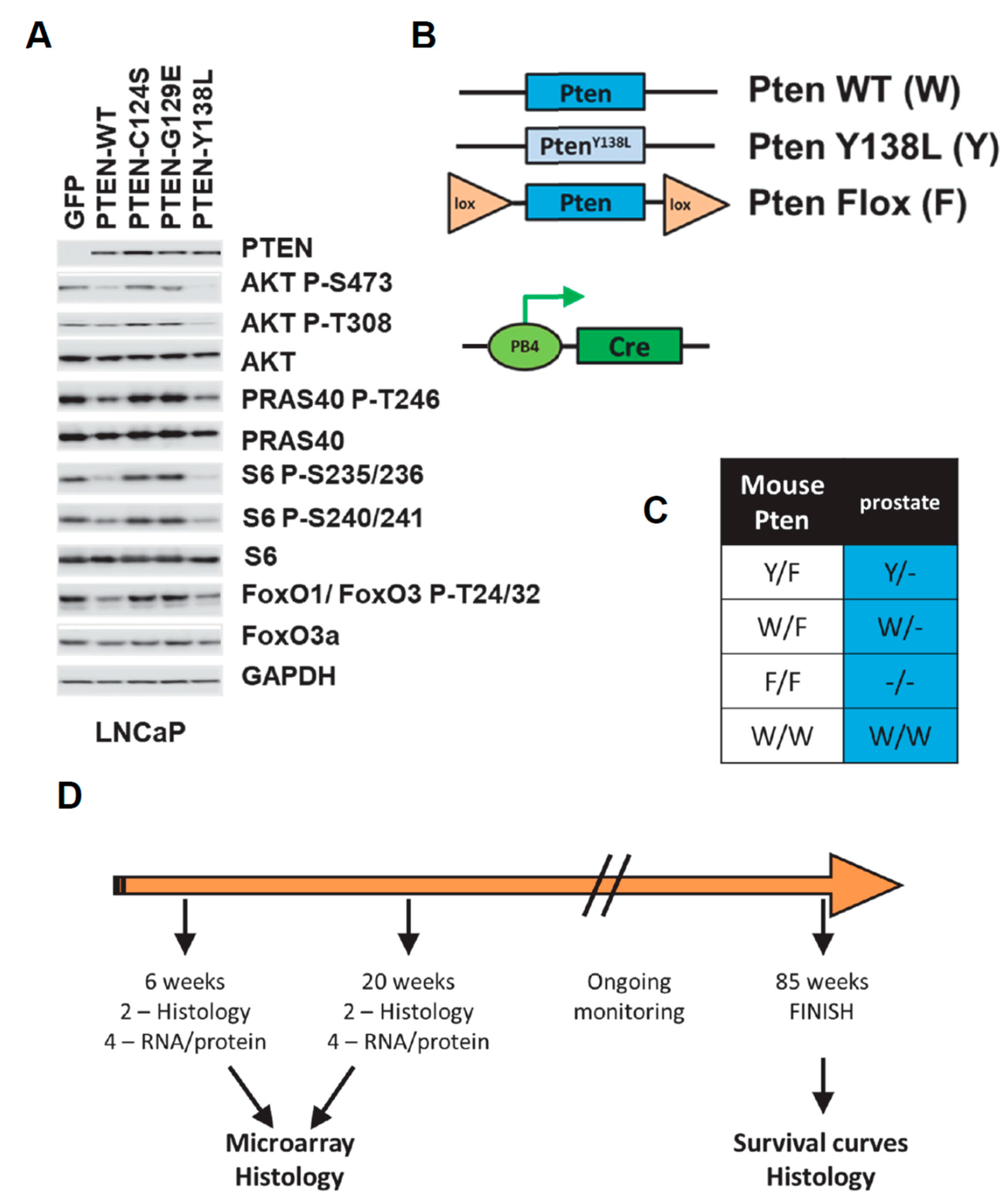 Biomolecules 12 01511 g001