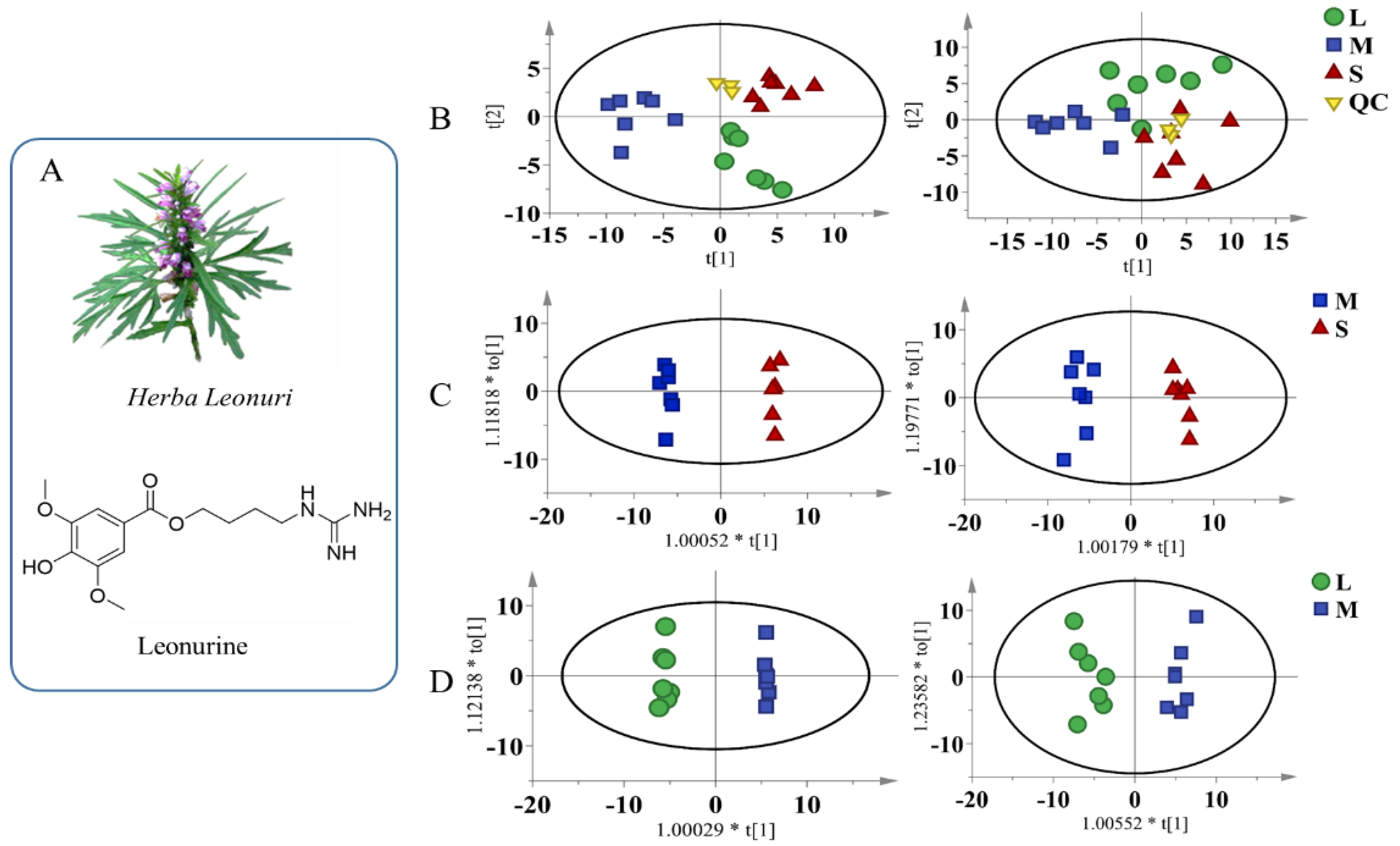 Biomolecules 12 01512 g001