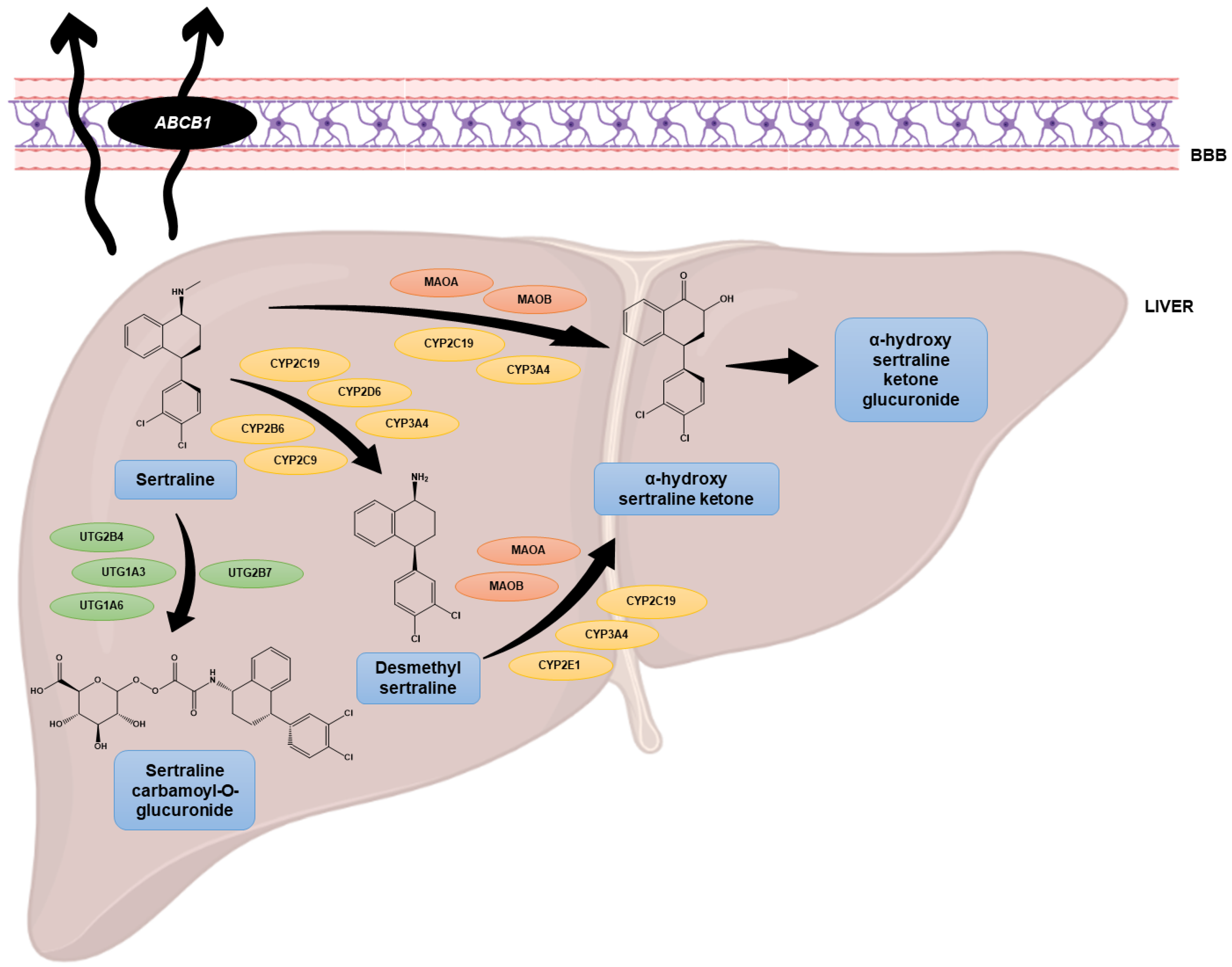 Biomolecules 12 01513 g002