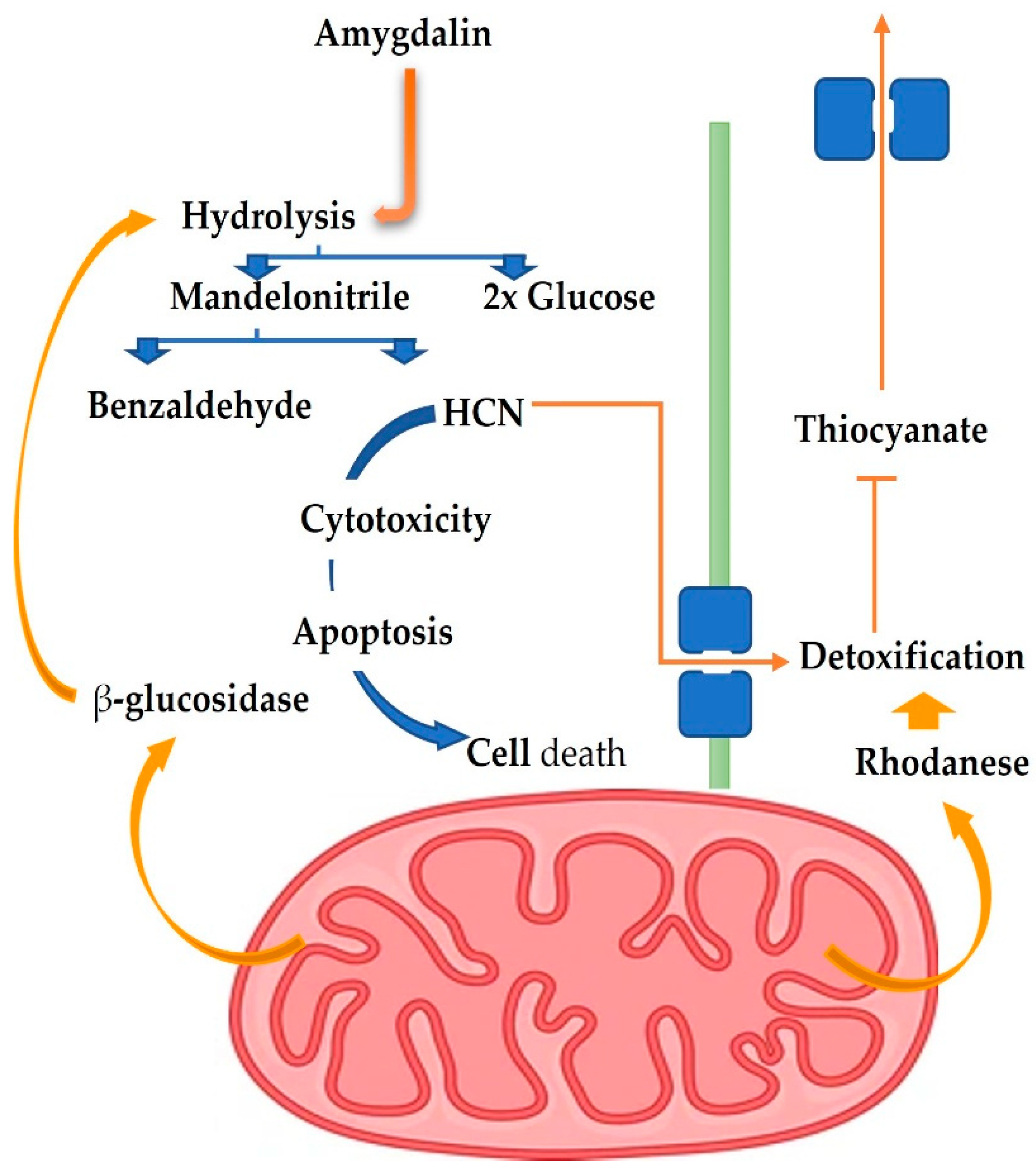 Biomolecules 12 01514 g002