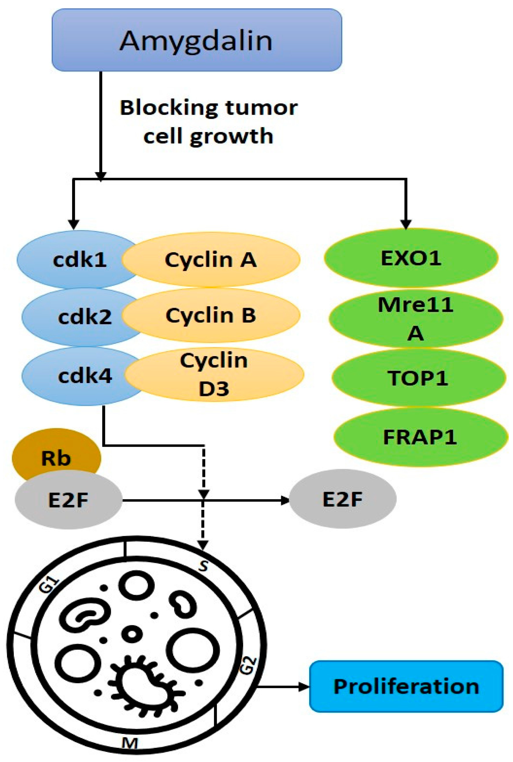 Biomolecules 12 01514 g003