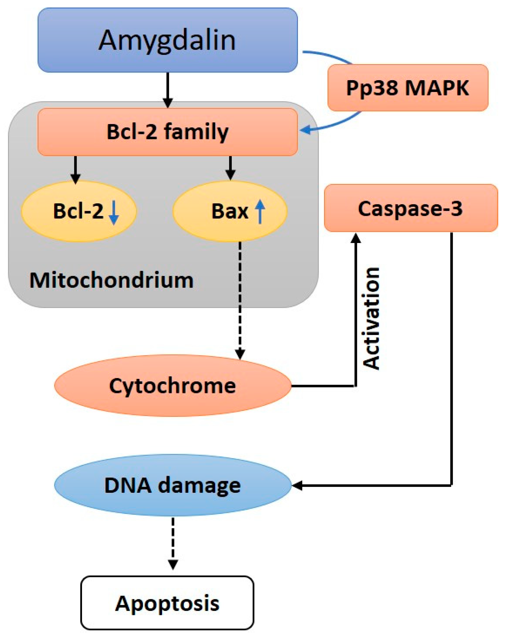 Biomolecules 12 01514 g005