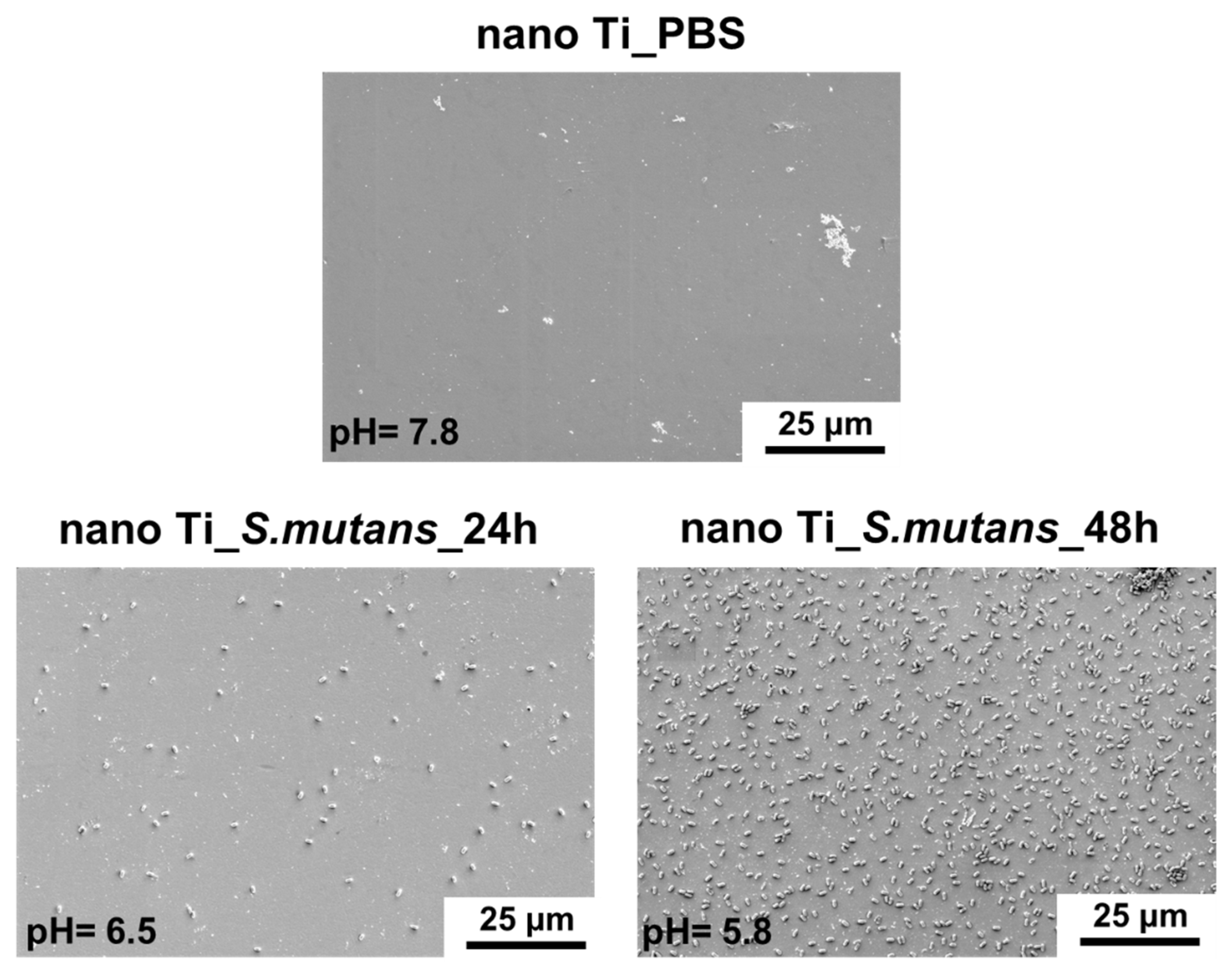 Biomolecules 12 01515 g003