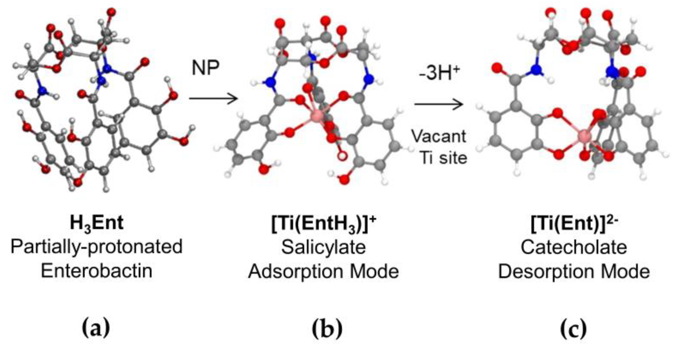 Biomolecules 12 01516 g006