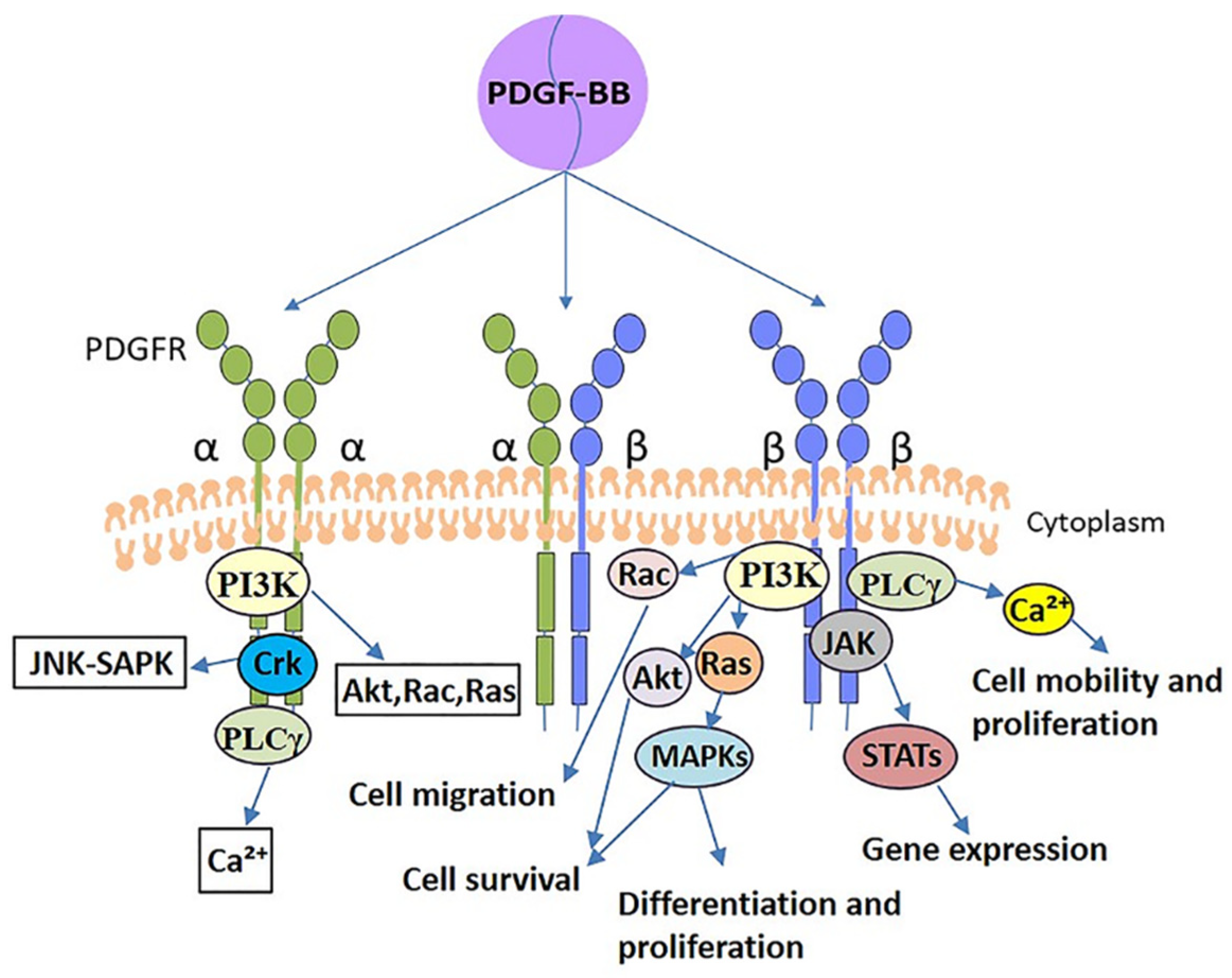 Biomolecules 12 01518 g002