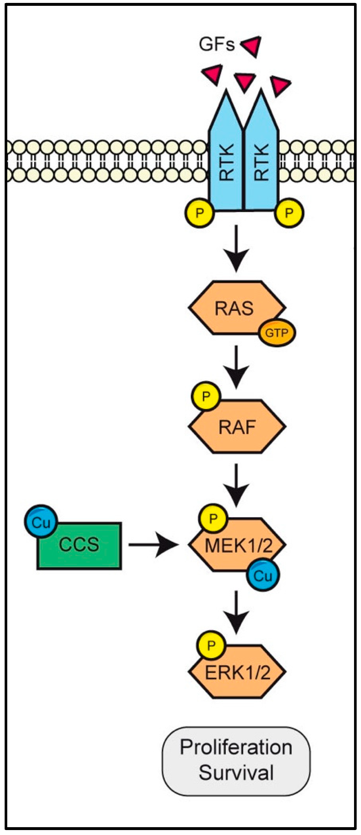 Biomolecules 12 01520 g002