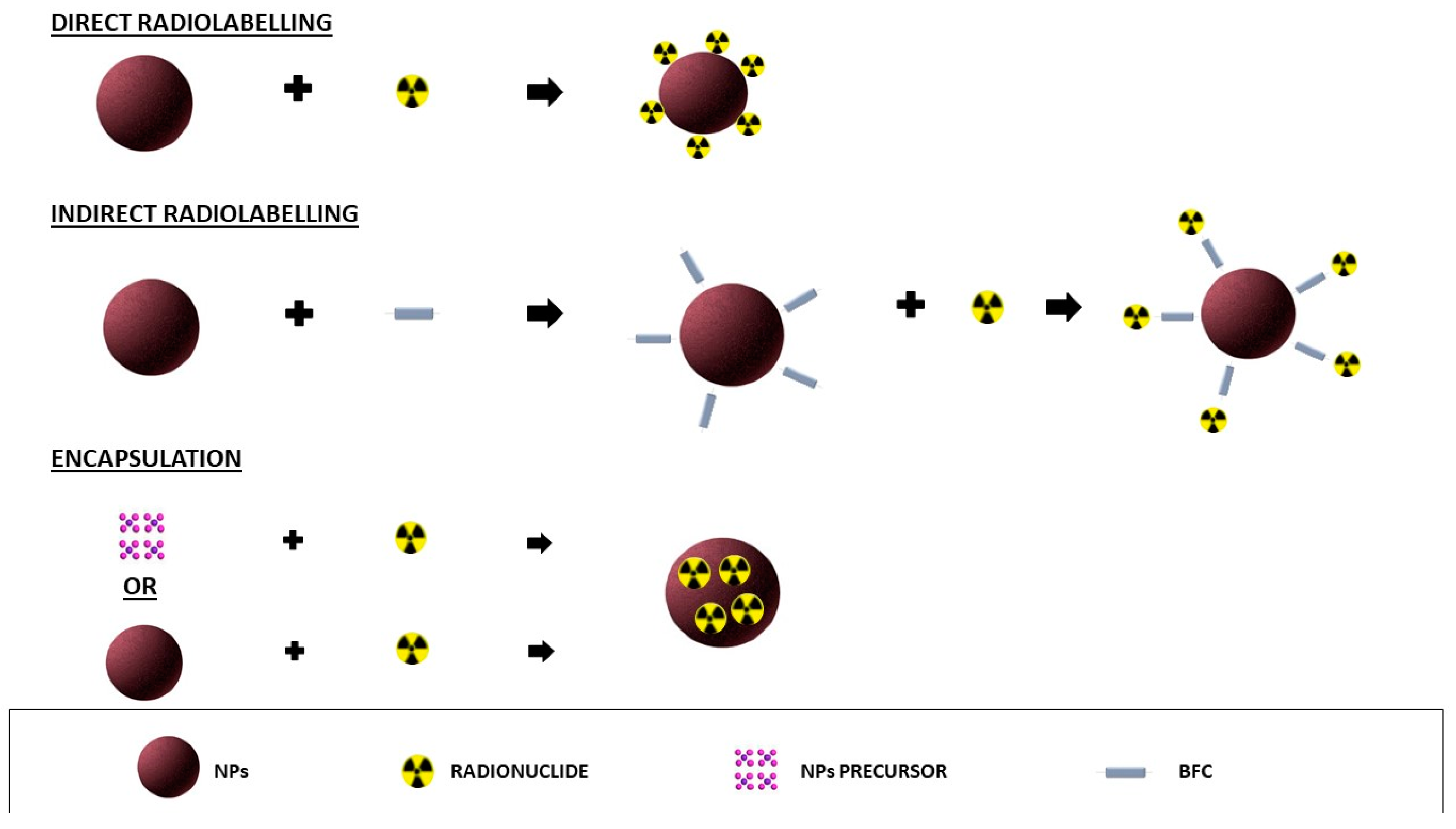 Biomolecules 12 01522 g001