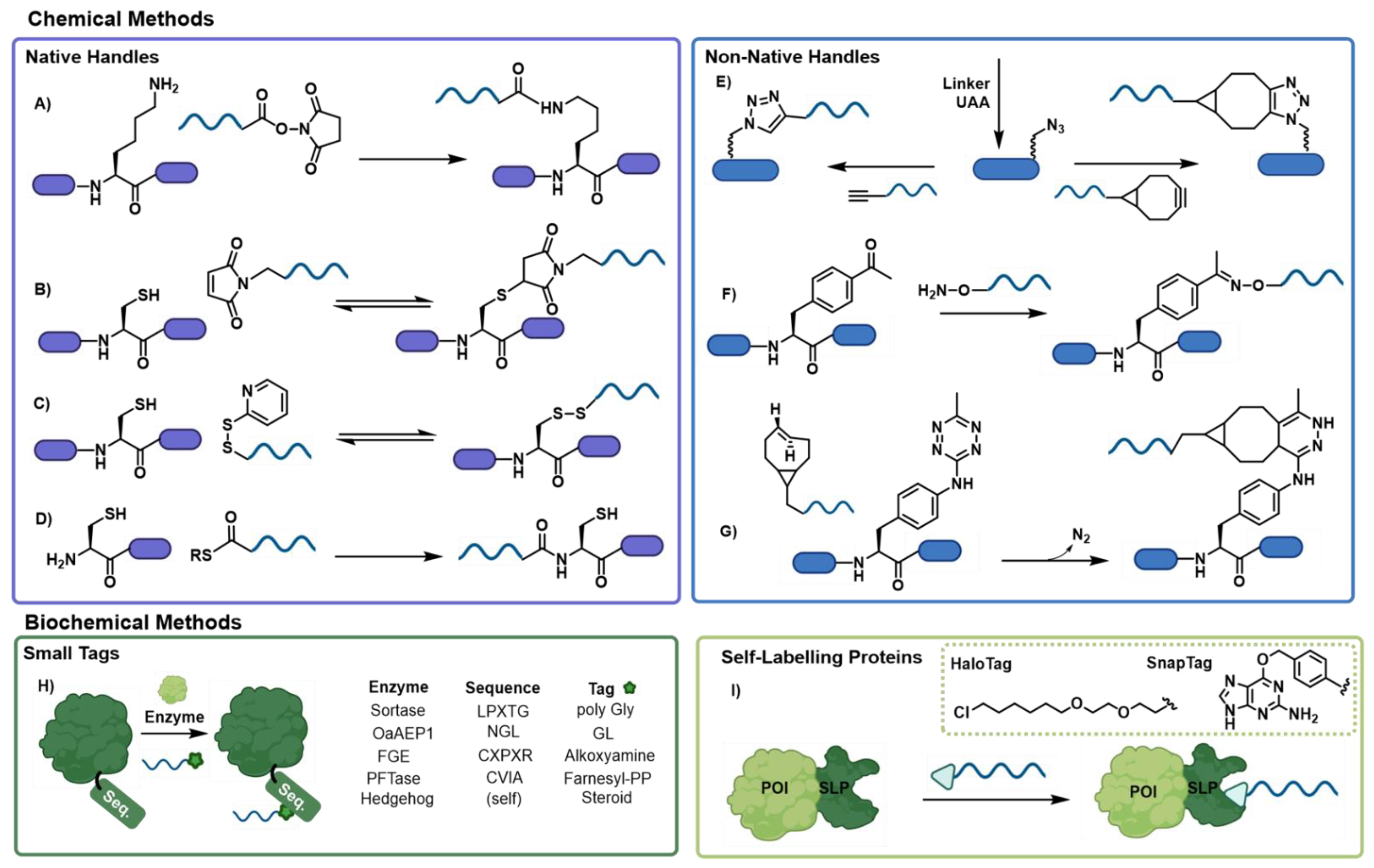 Biomolecules 12 01523 g002