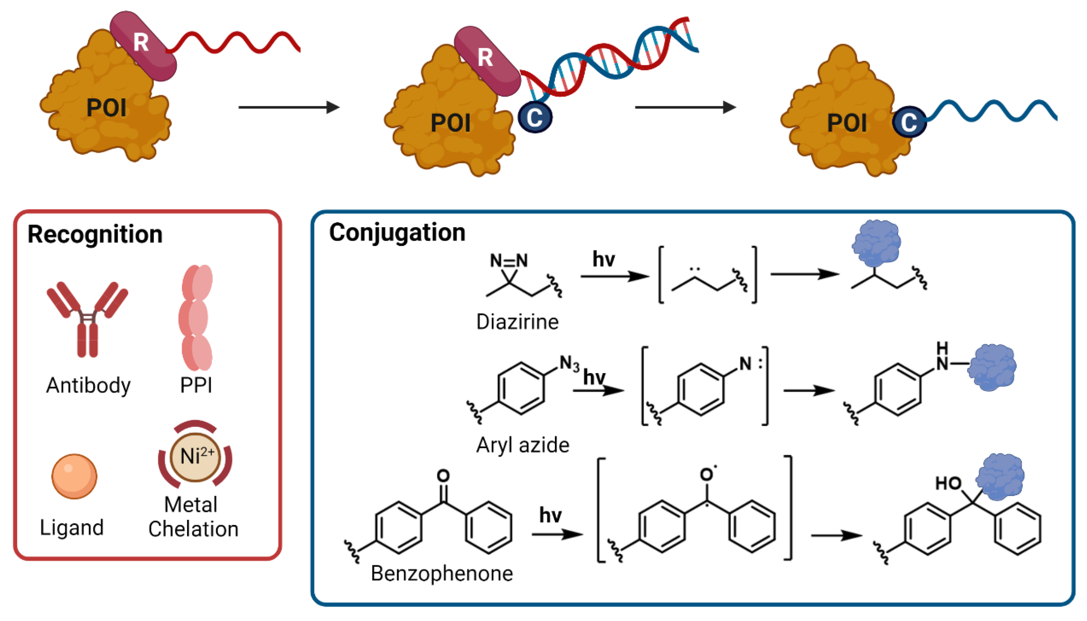 Biomolecules 12 01523 g003