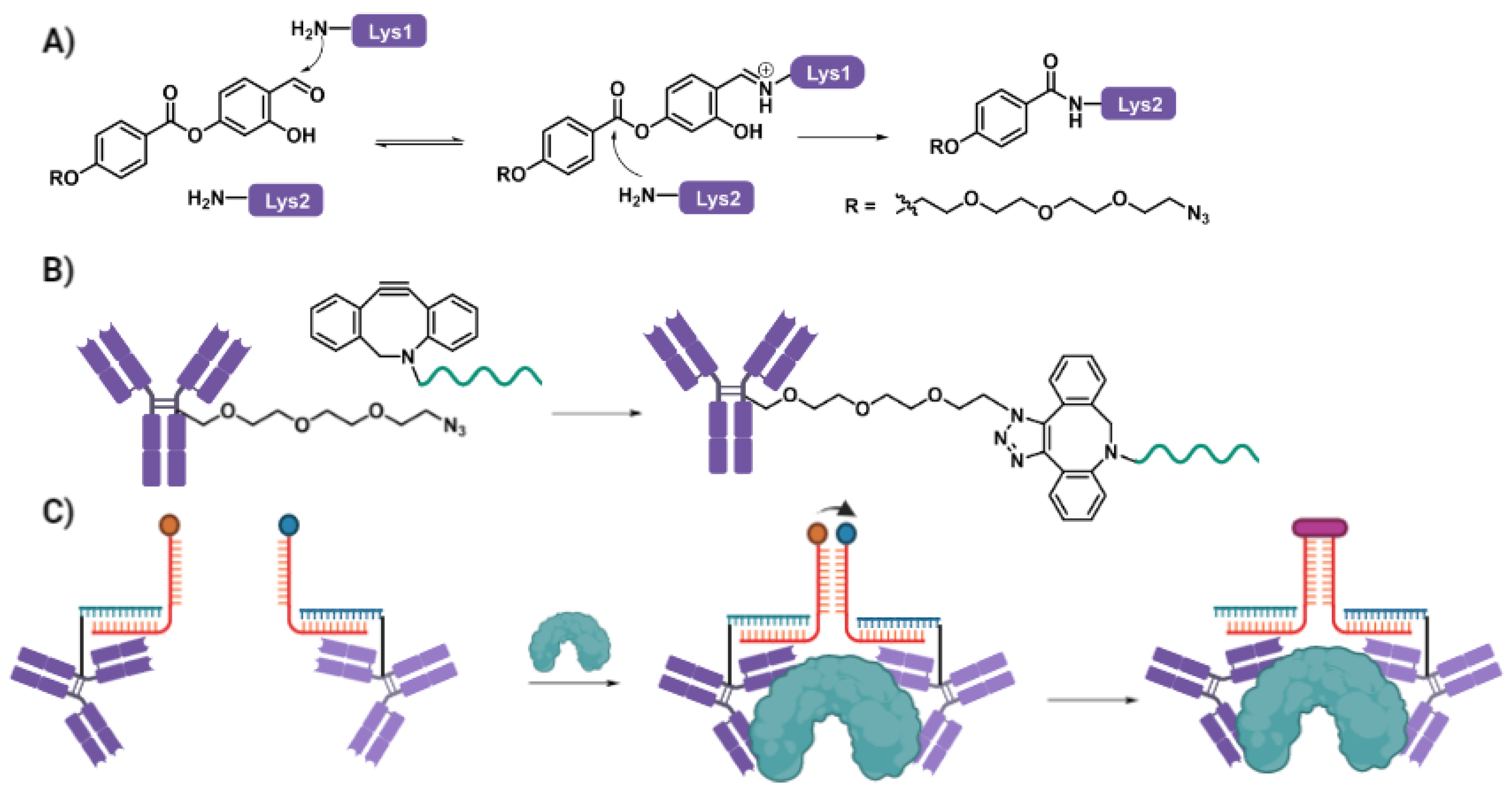 Biomolecules 12 01523 g004