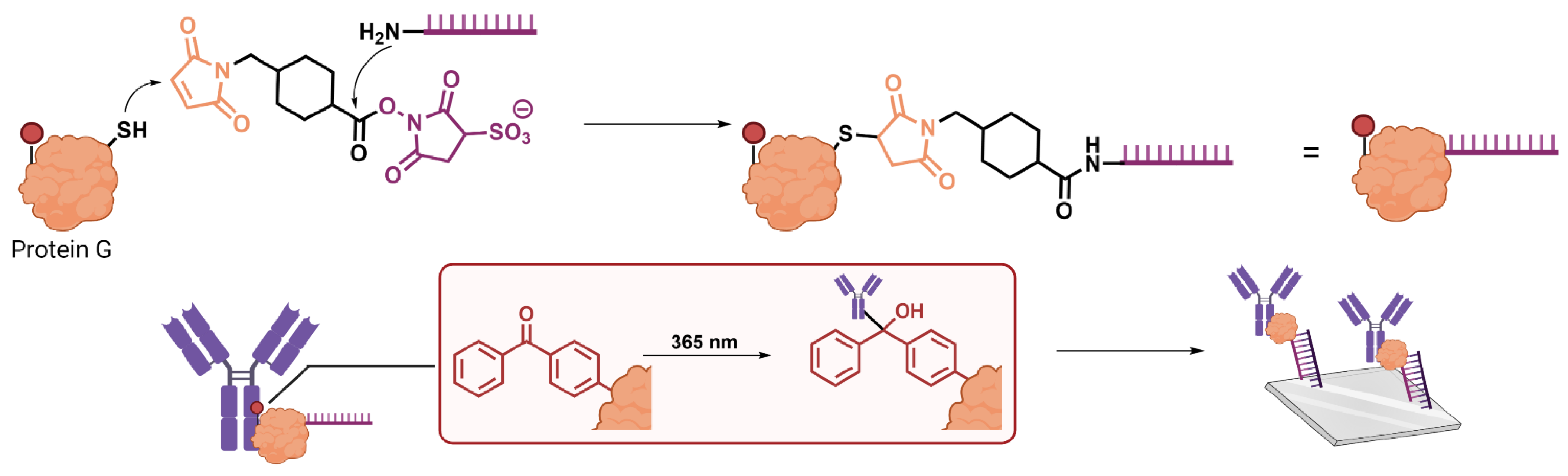 Biomolecules 12 01523 g005
