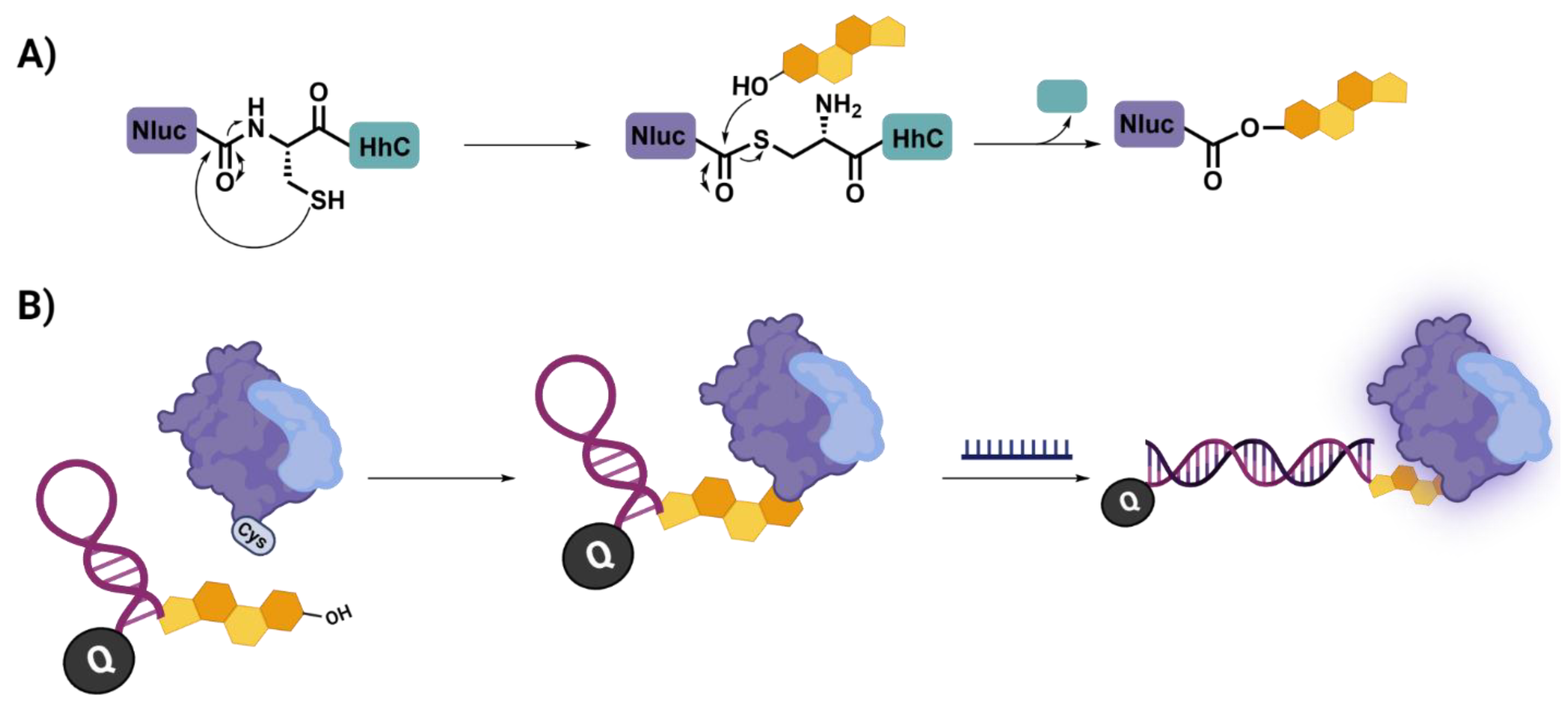 Biomolecules 12 01523 g007