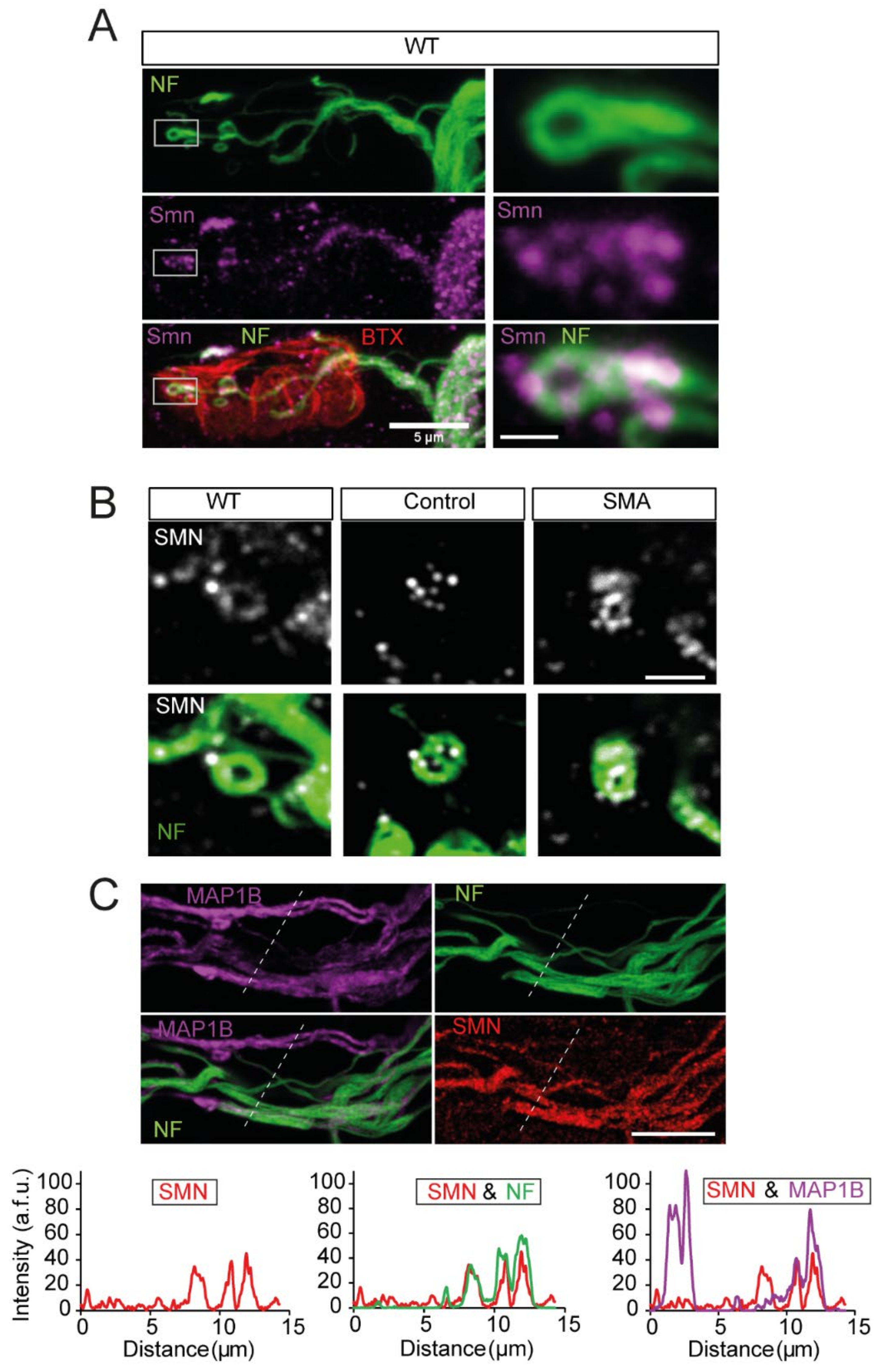 Biomolecules 12 01524 g007