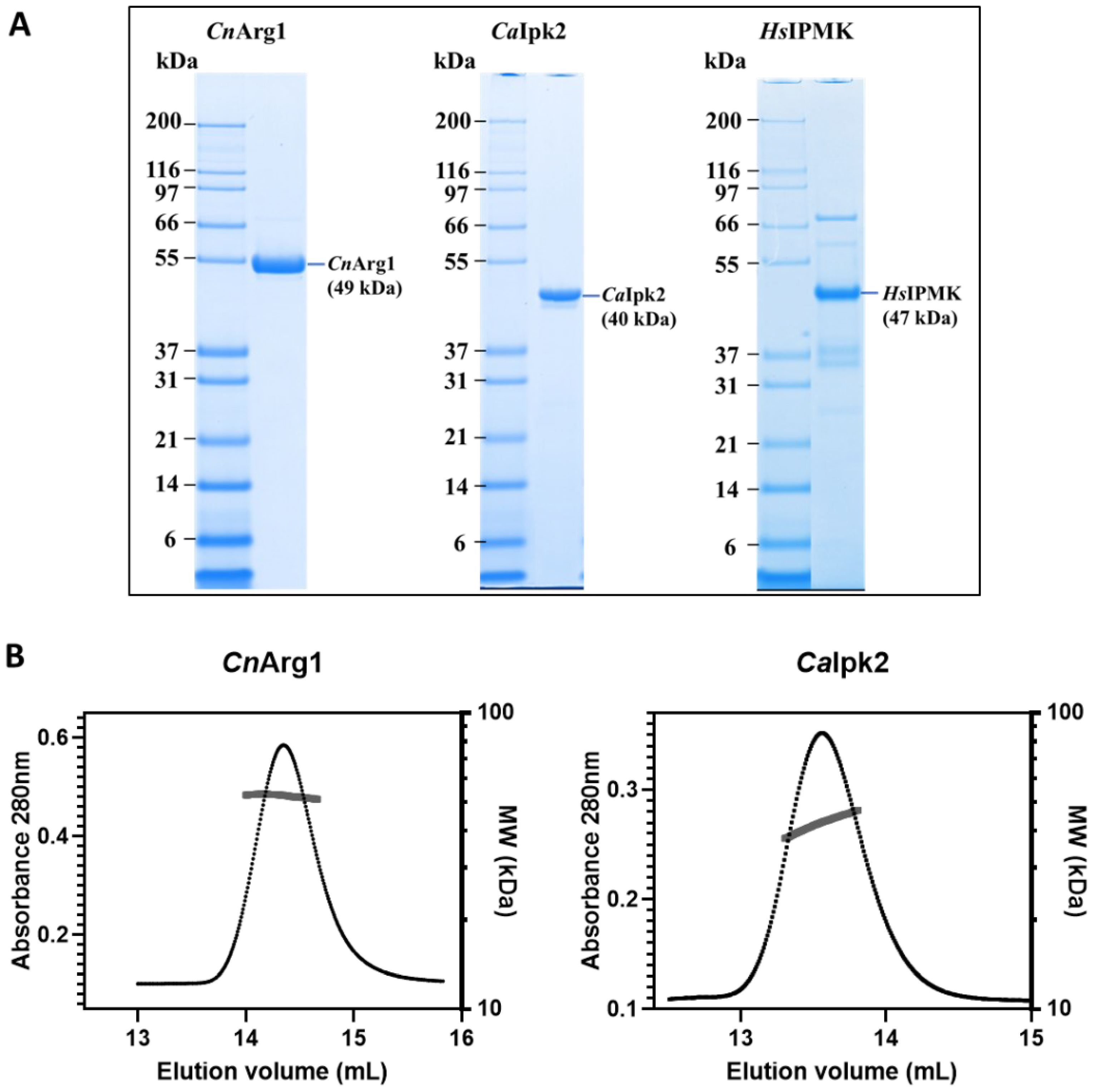 Biomolecules 12 01526 g001 Biomolecules 12 01526 g001