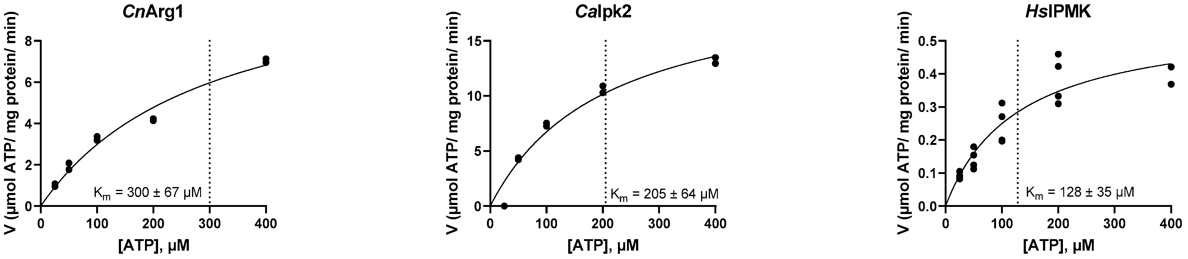 Biomolecules 12 01526 g002 Biomolecules 12 01526 g002