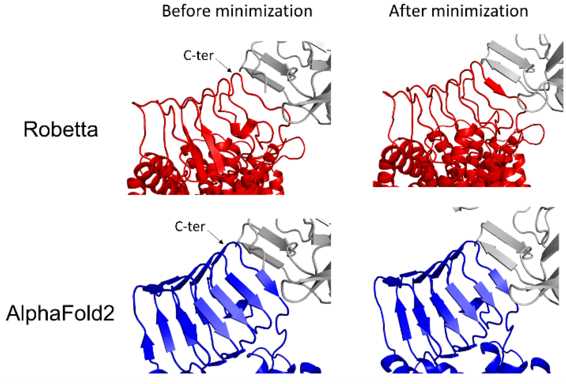 Biomolecules 12 01527 g003
