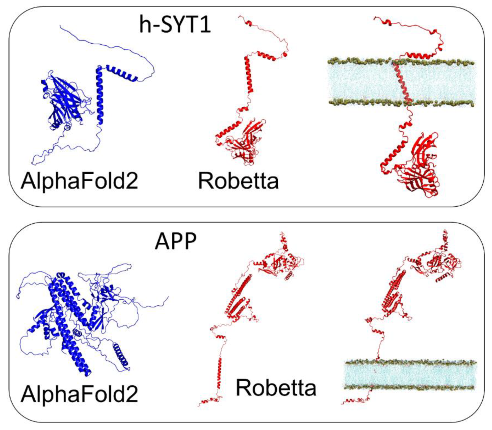 Biomolecules 12 01527 g004