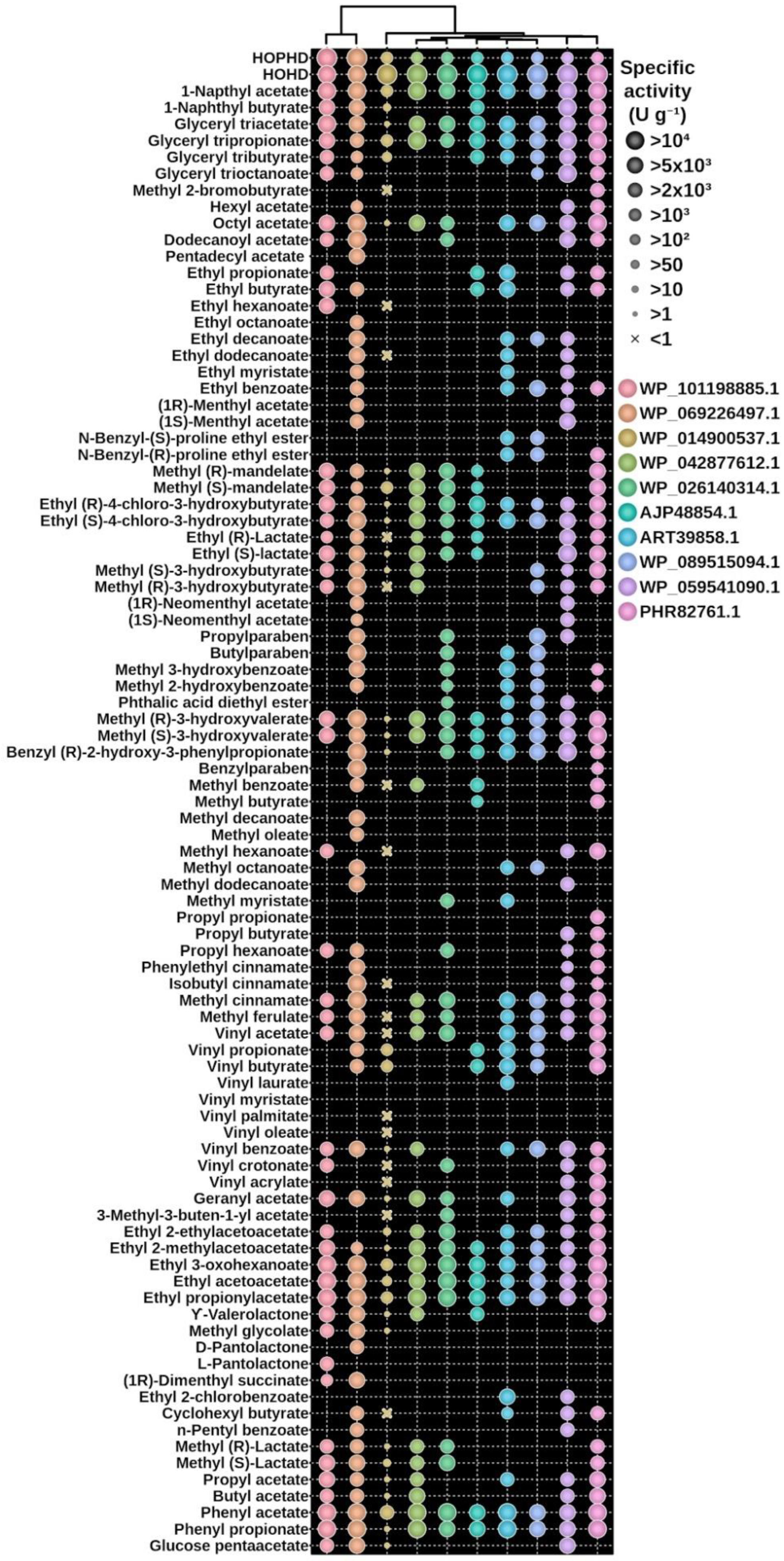 Biomolecules 12 01529 g004