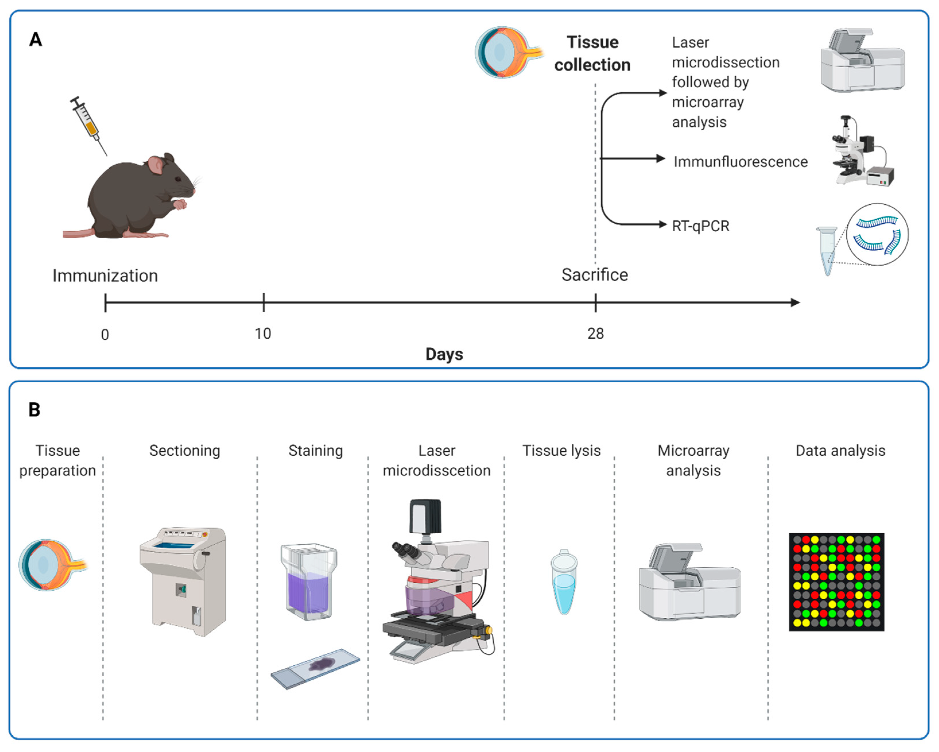 Biomolecules 12 01538 g001