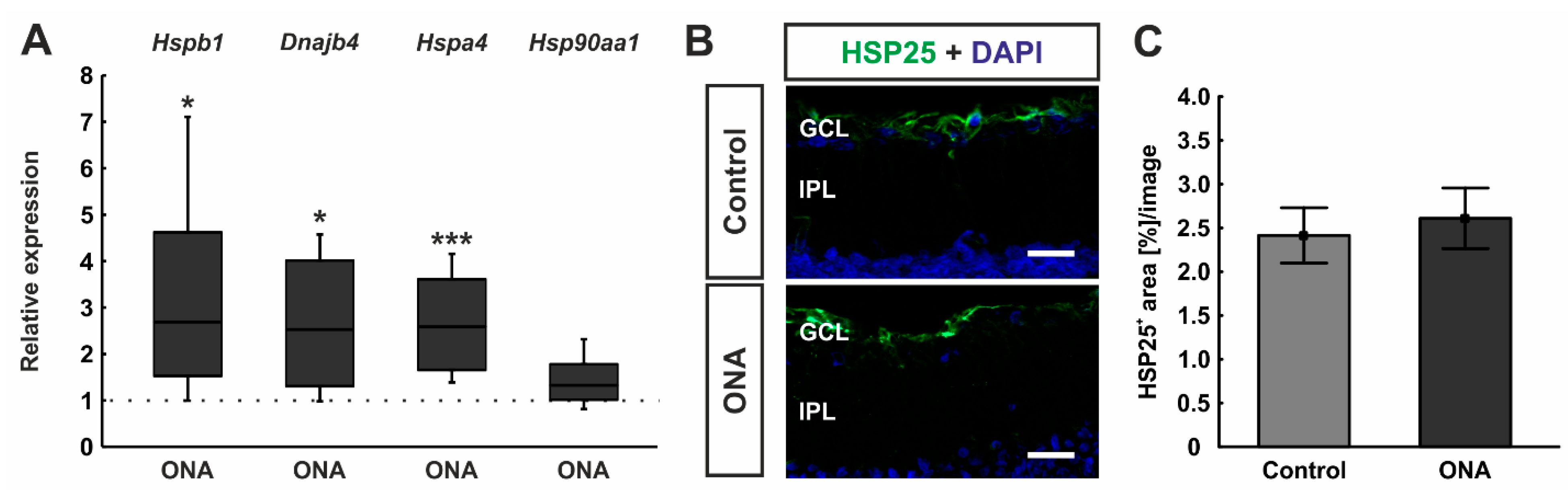 Biomolecules 12 01538 g003