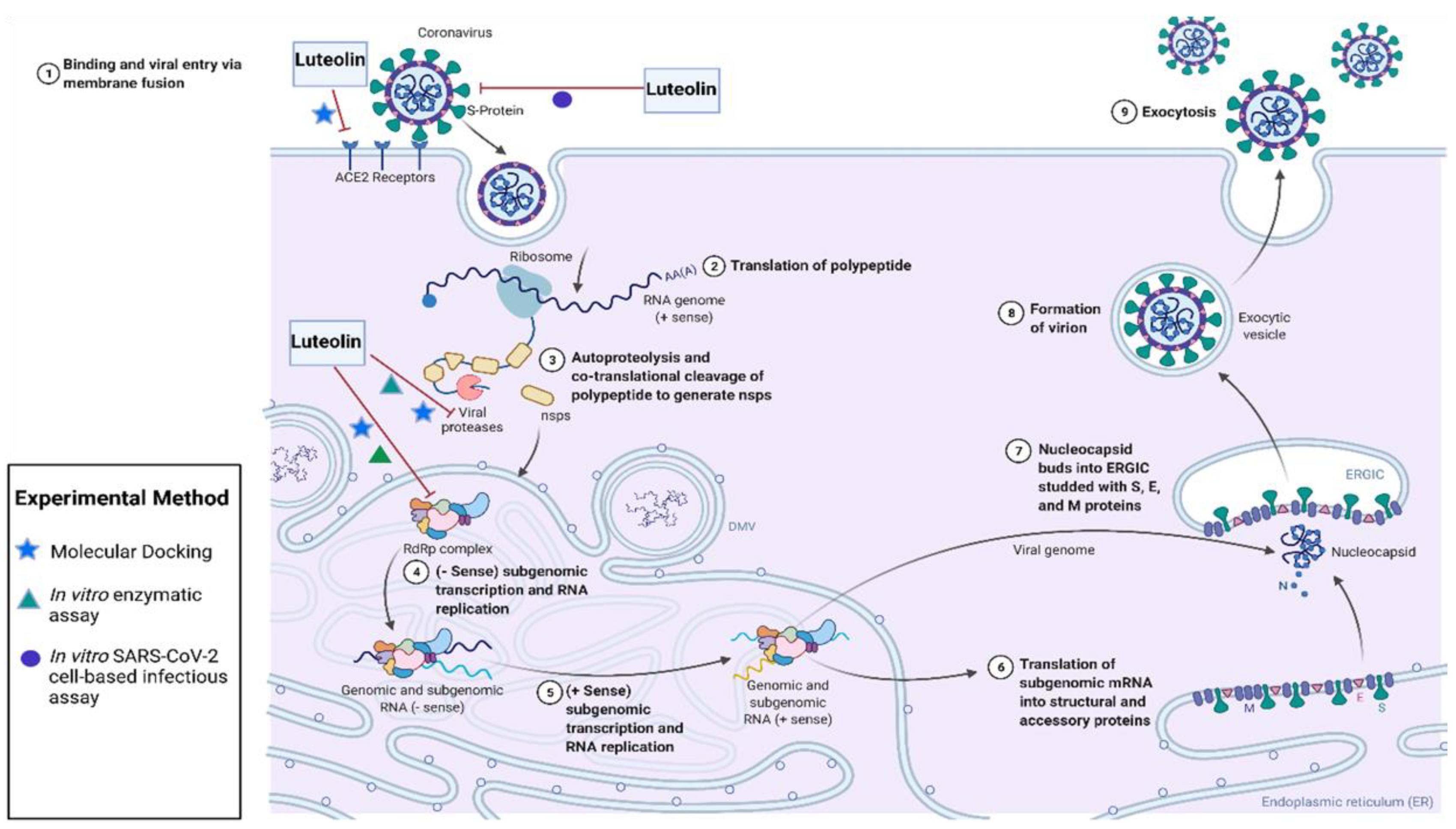 Biomolecules 12 01544 g002