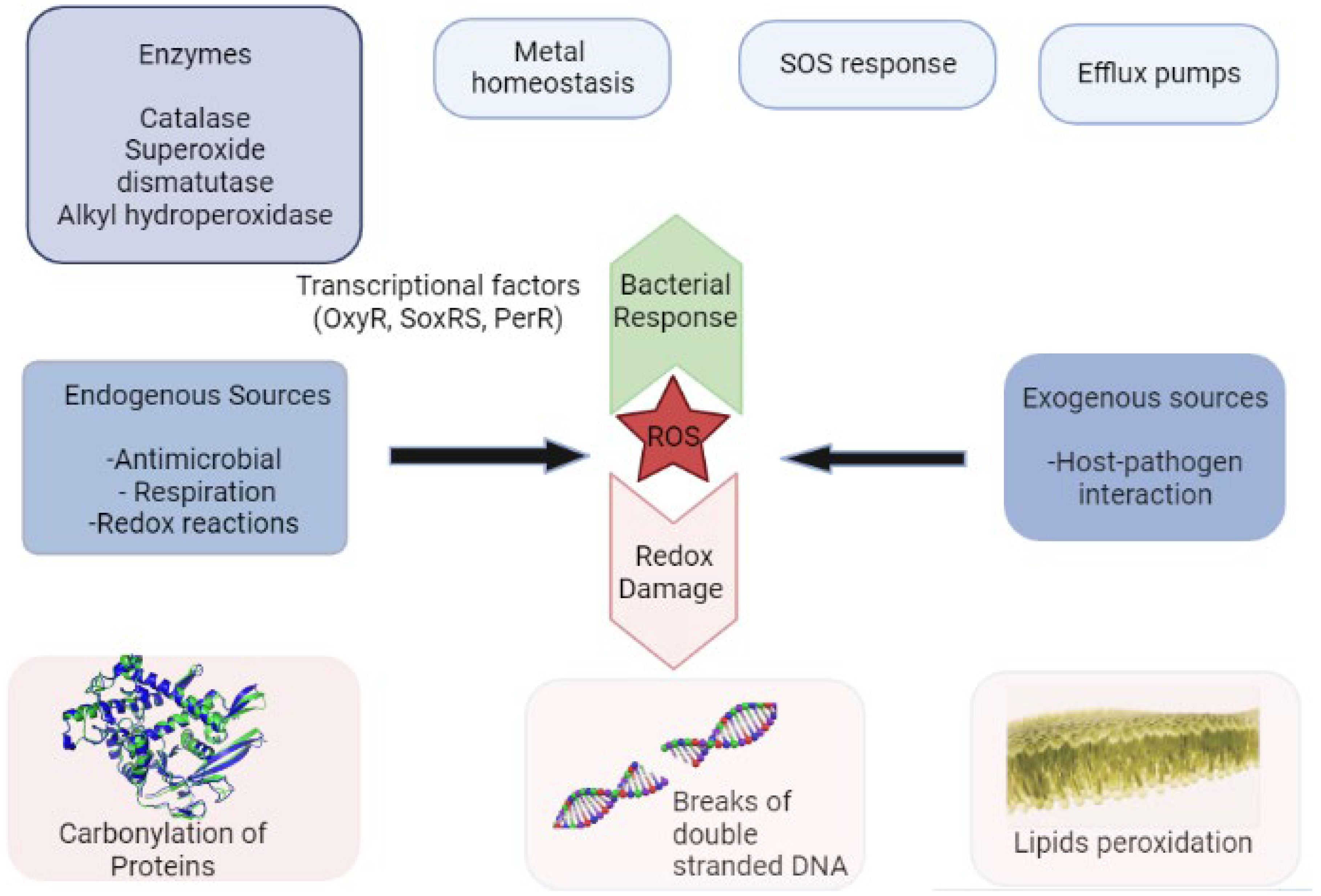 Biomolecules 12 01545 g002