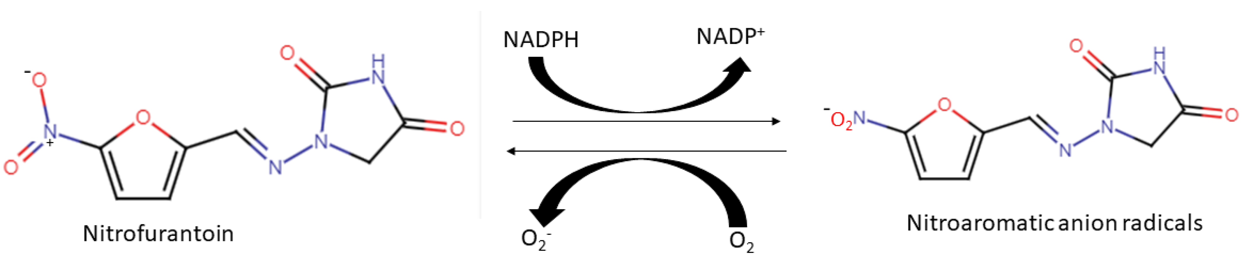 Biomolecules 12 01545 g004