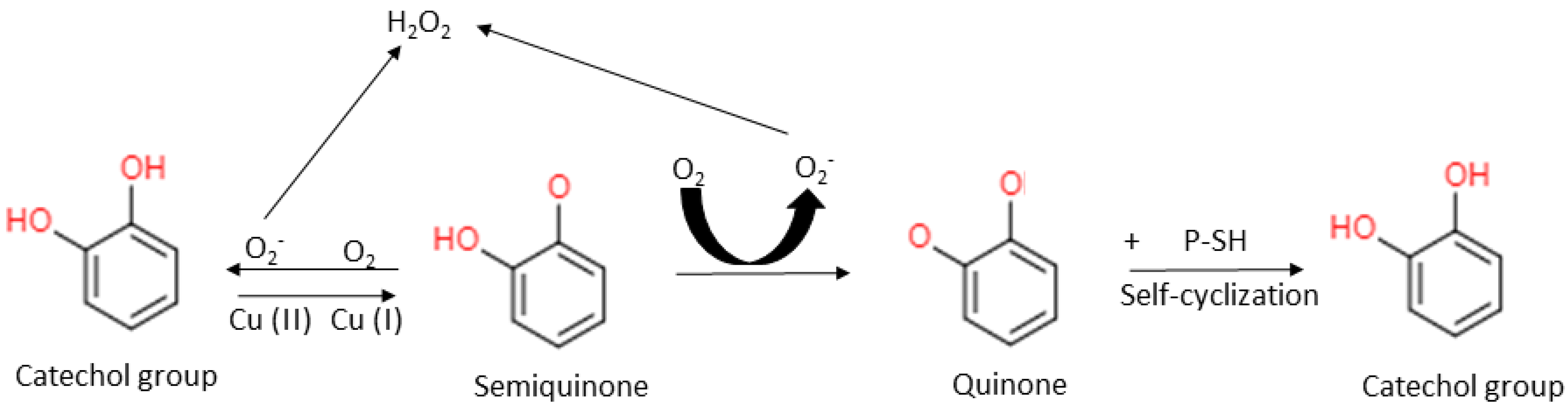 Biomolecules 12 01545 g005