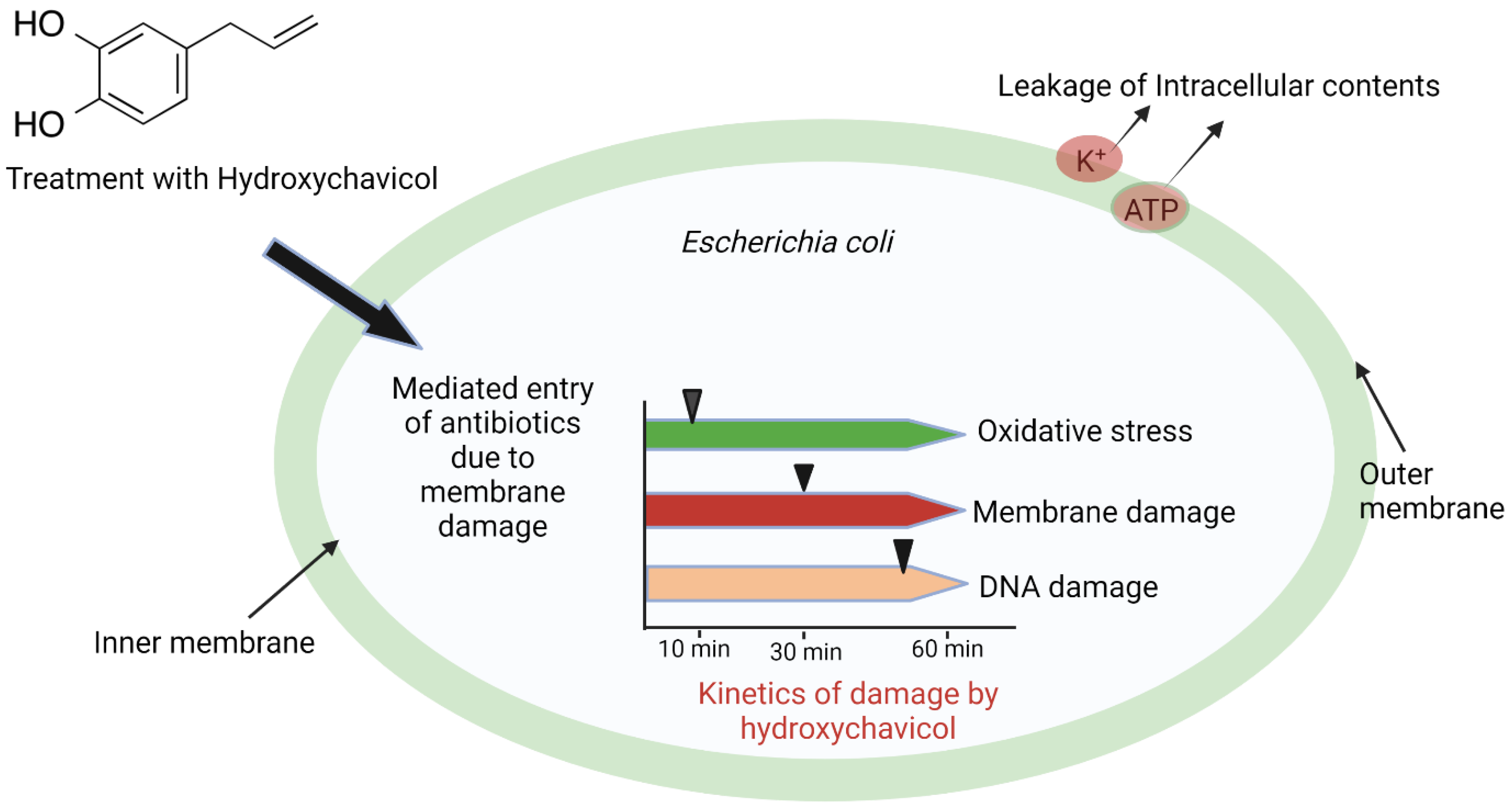 Biomolecules 12 01545 g006