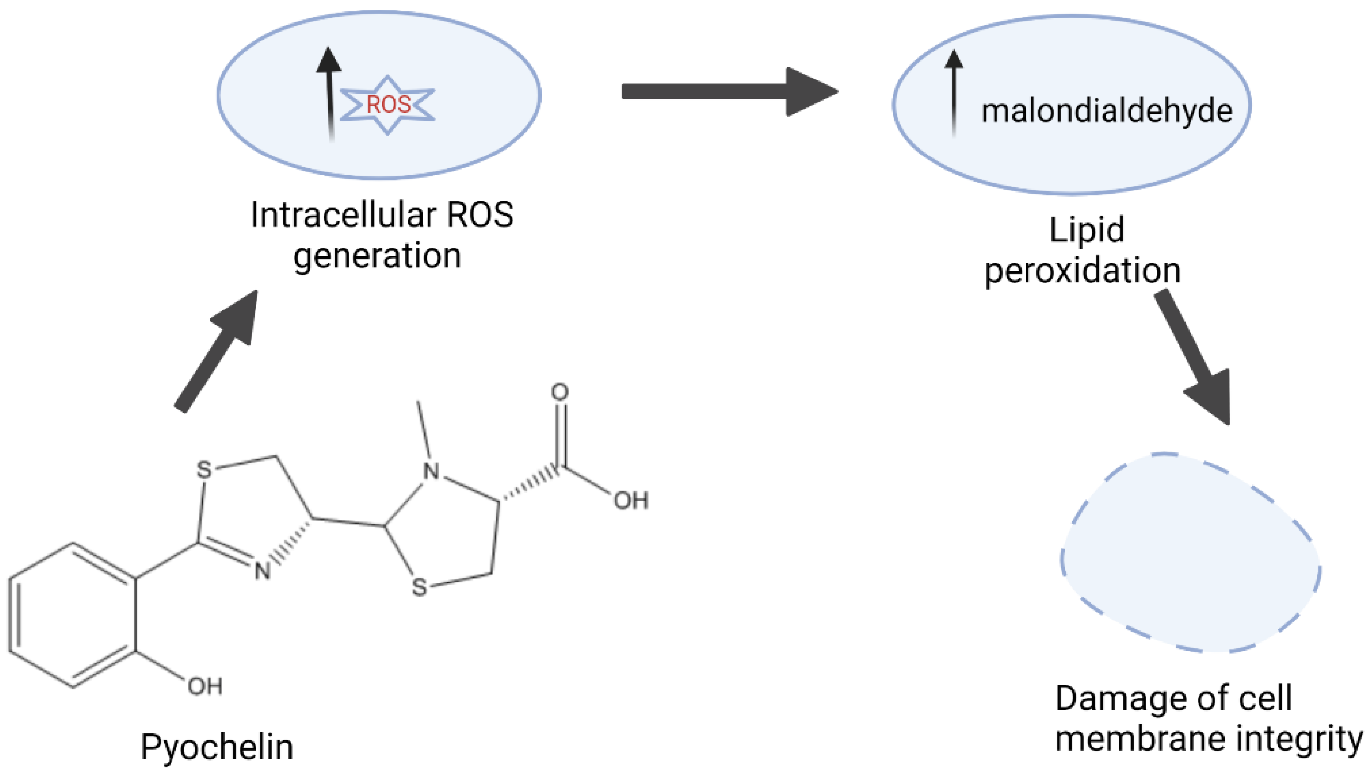 Biomolecules 12 01545 g007