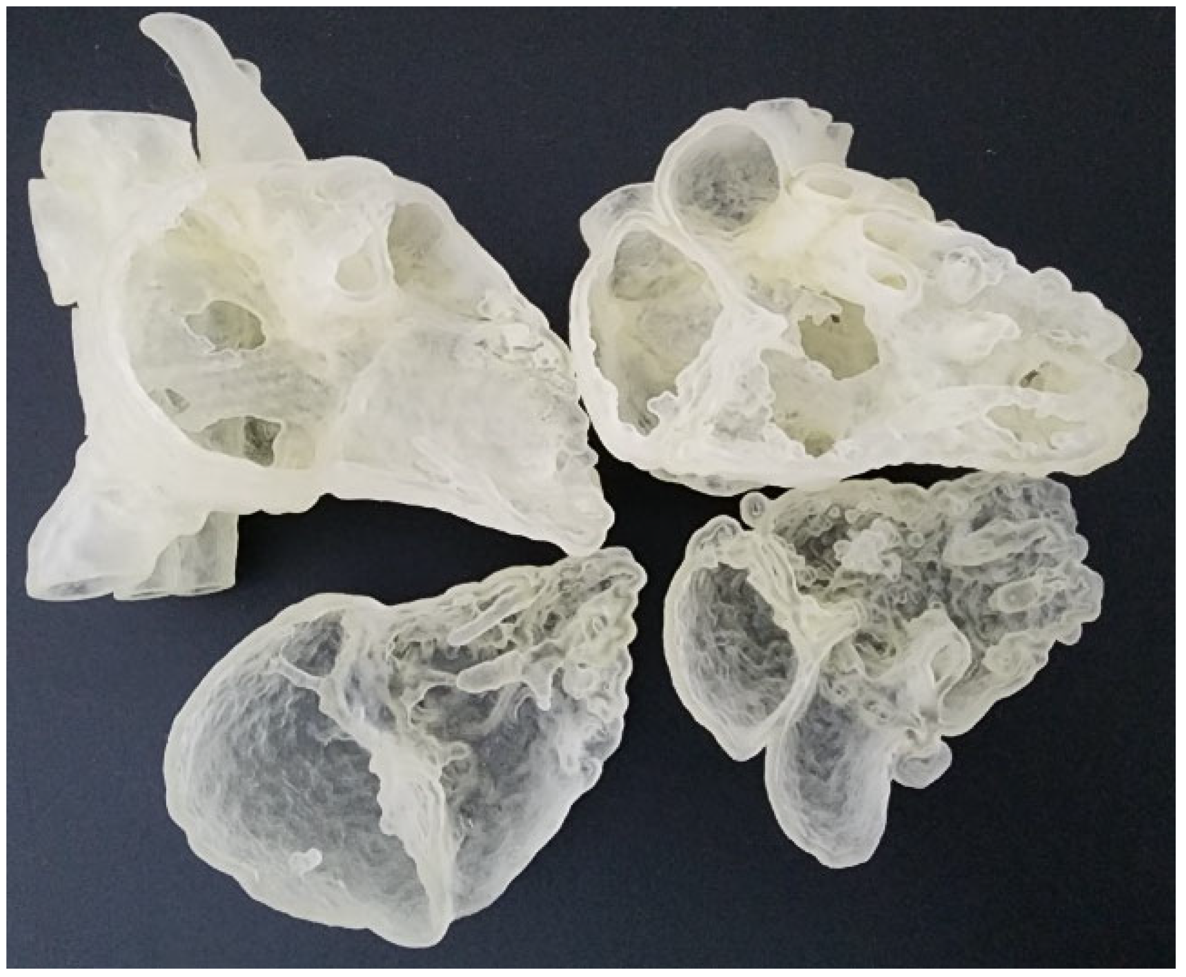 Biomolecules 12 01548 g001