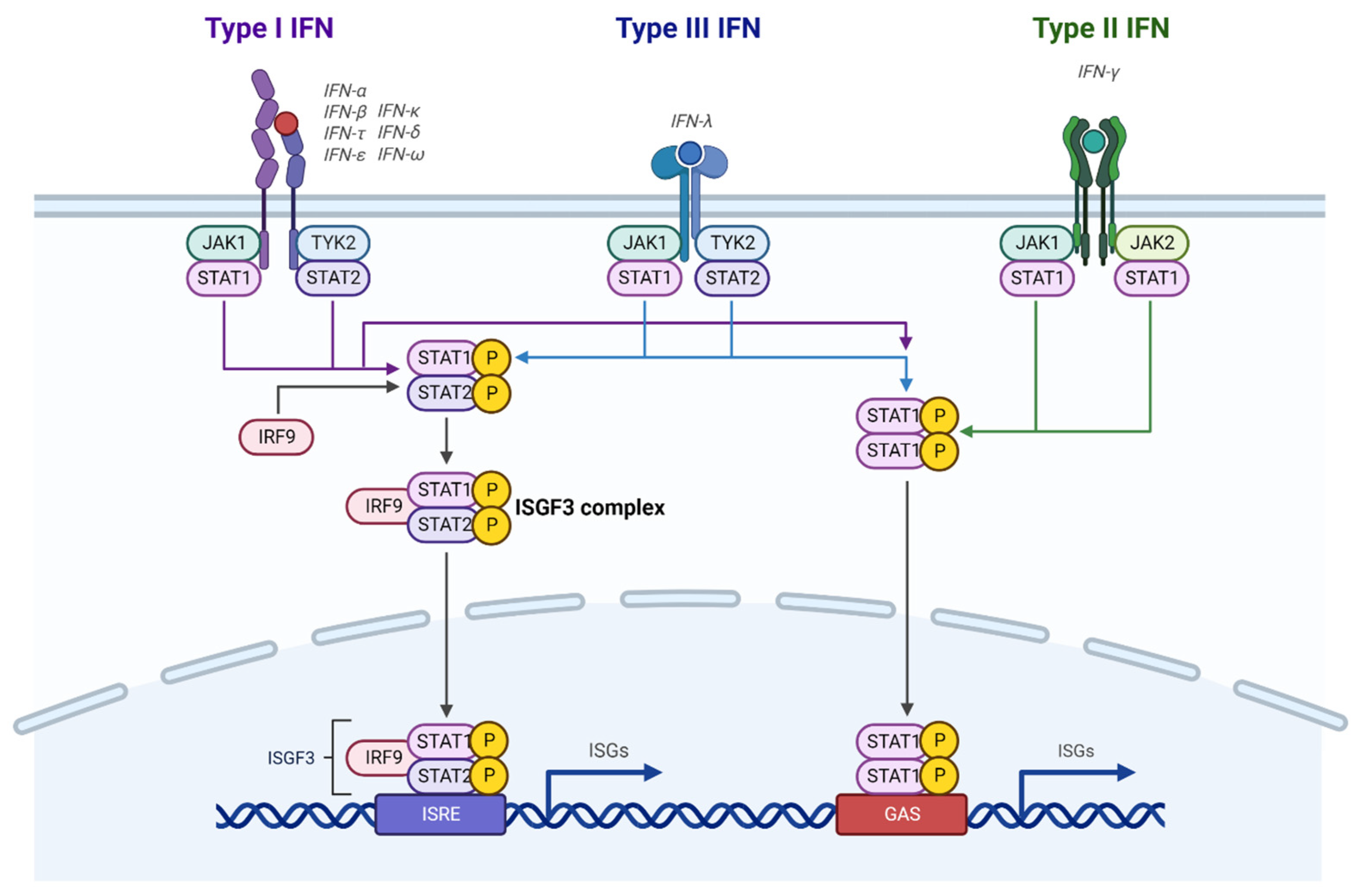 Biomolecules 12 01554 g001 Biomolecules 12 01554 g001