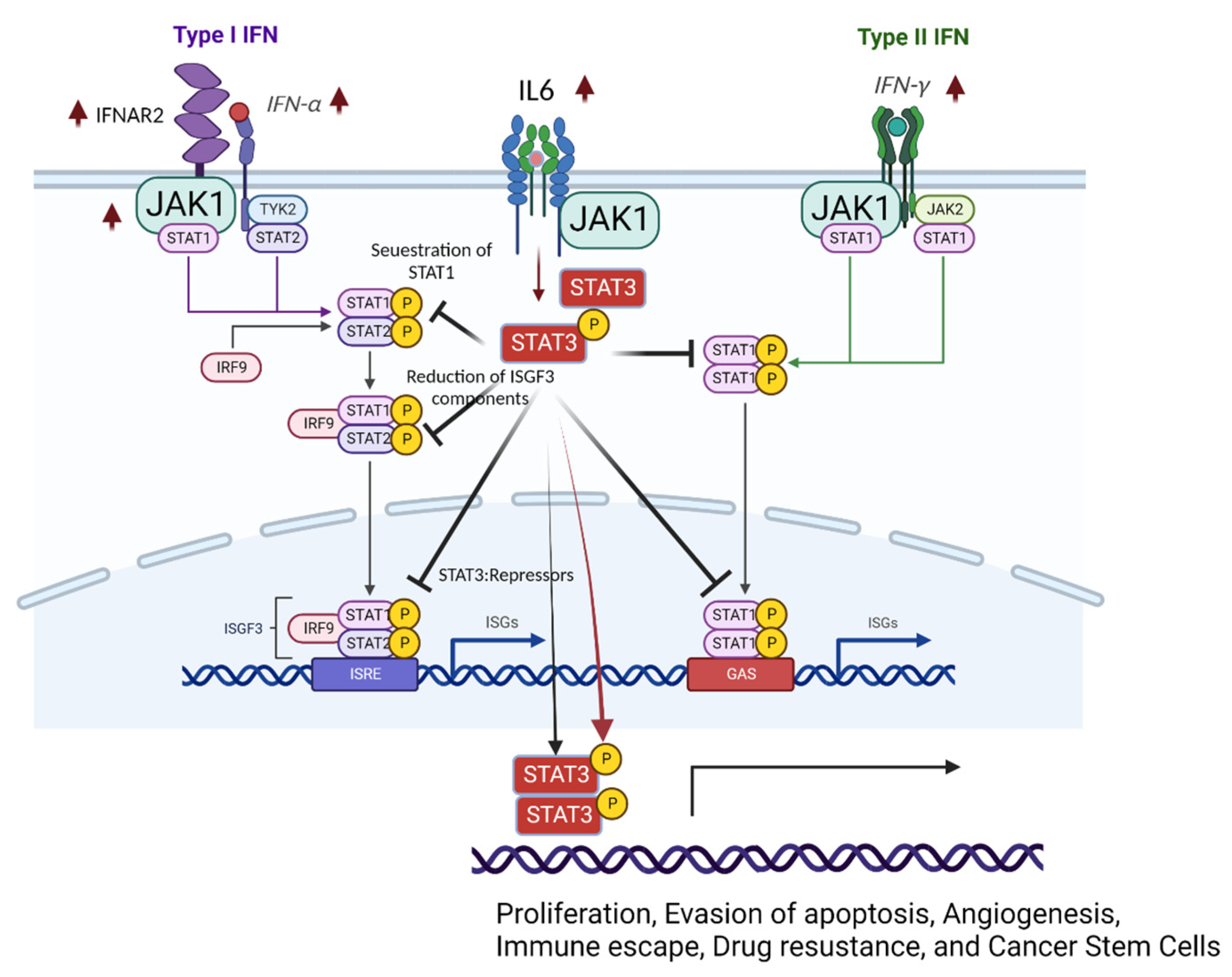 Biomolecules 12 01554 g003 Biomolecules 12 01554 g003