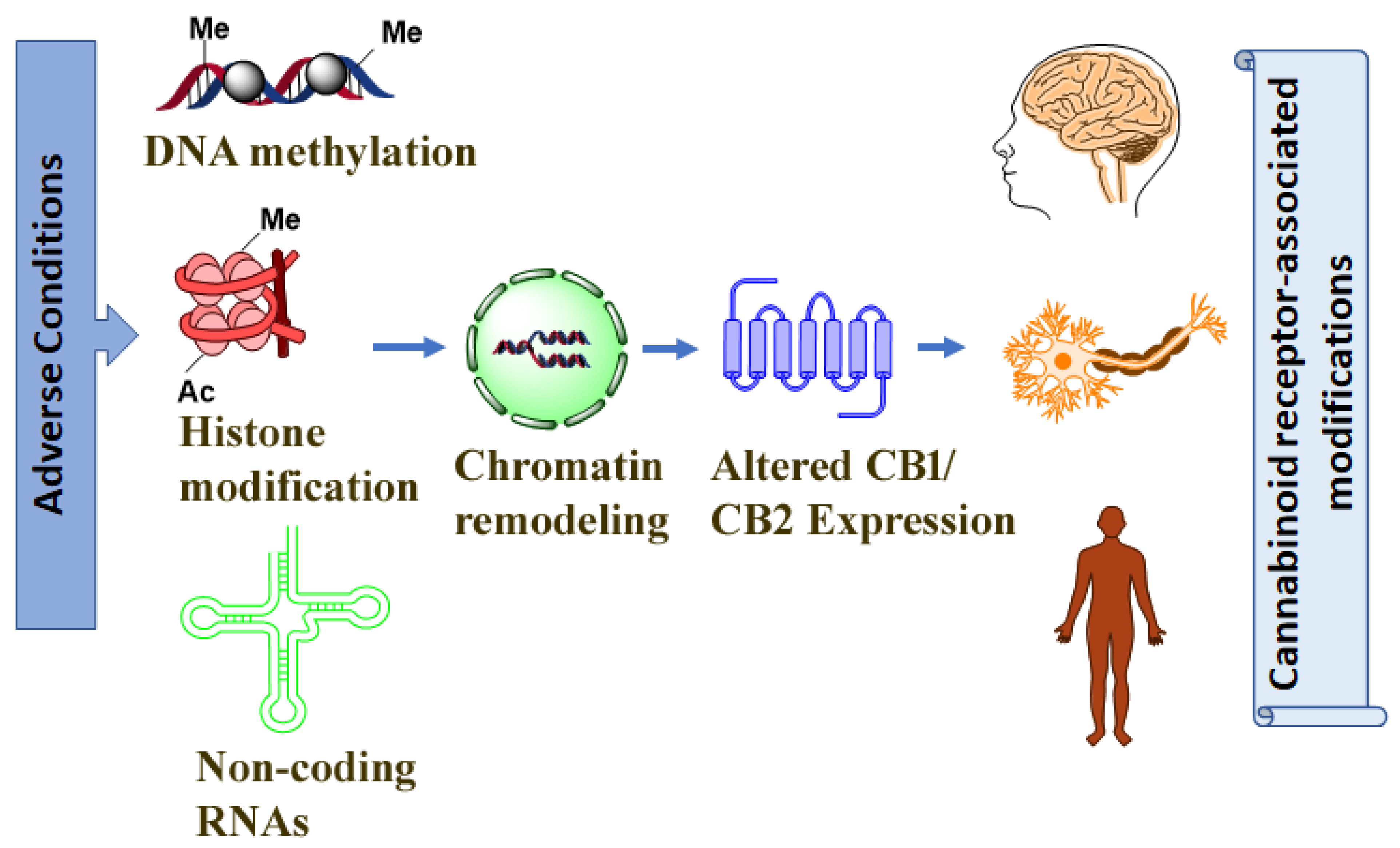 Biomolecules 12 01560 g001 Biomolecules 12 01560 g001