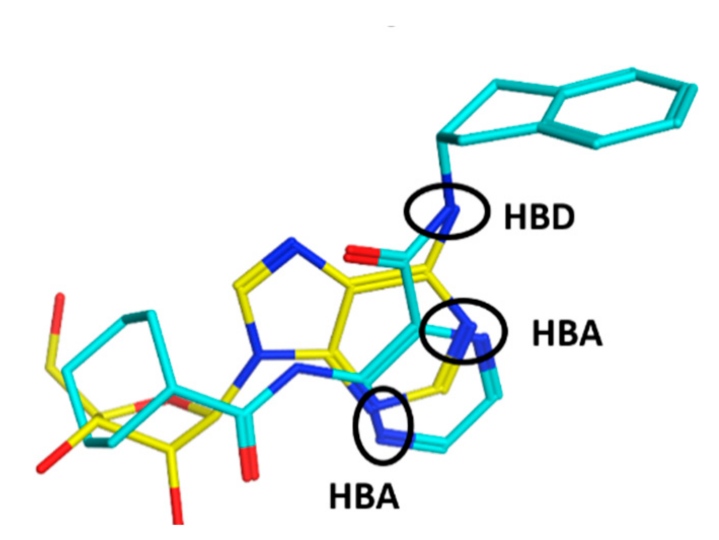 Biomolecules 12 01561 g001 Biomolecules 12 01561 g001