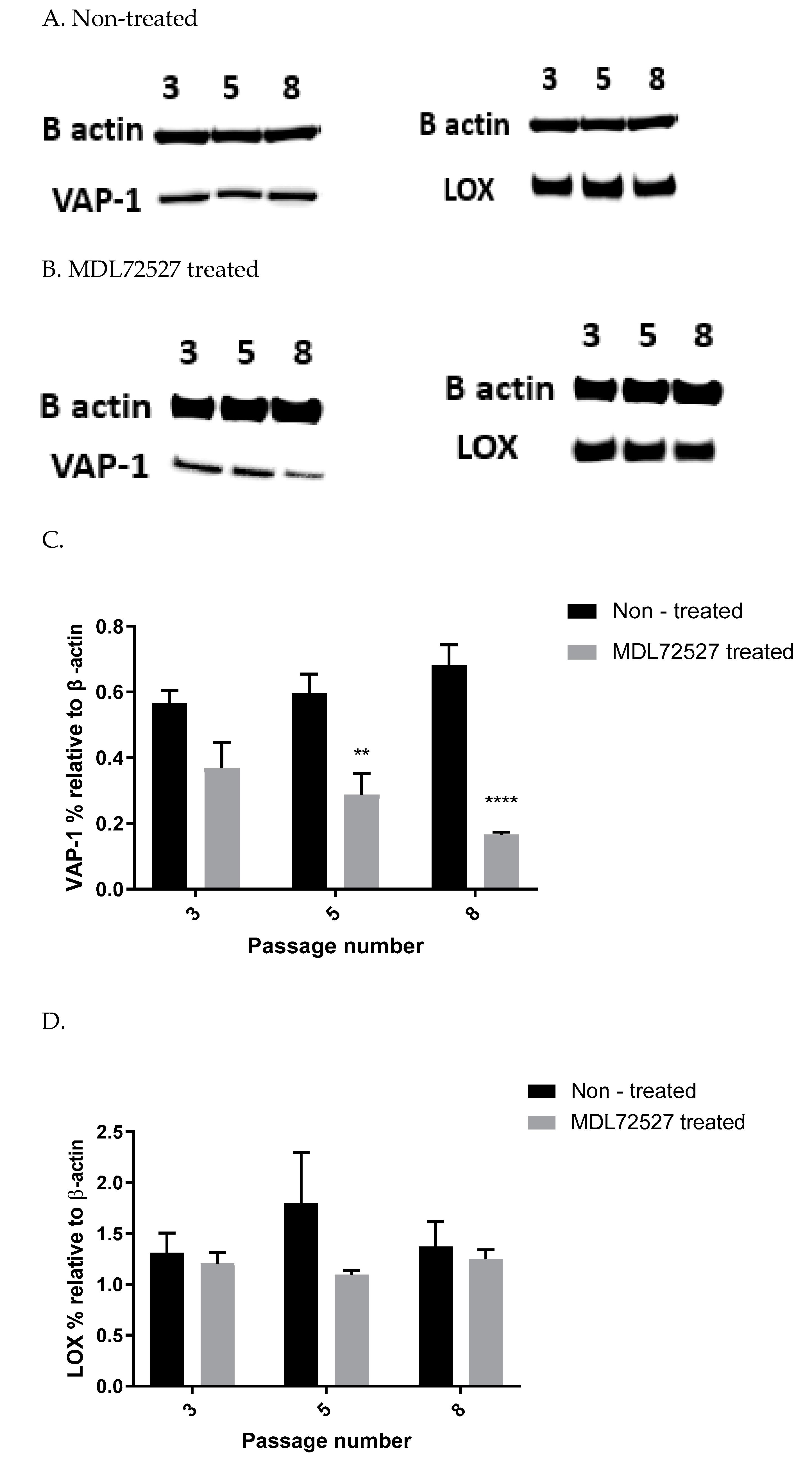 Biomolecules 12 01563 g004