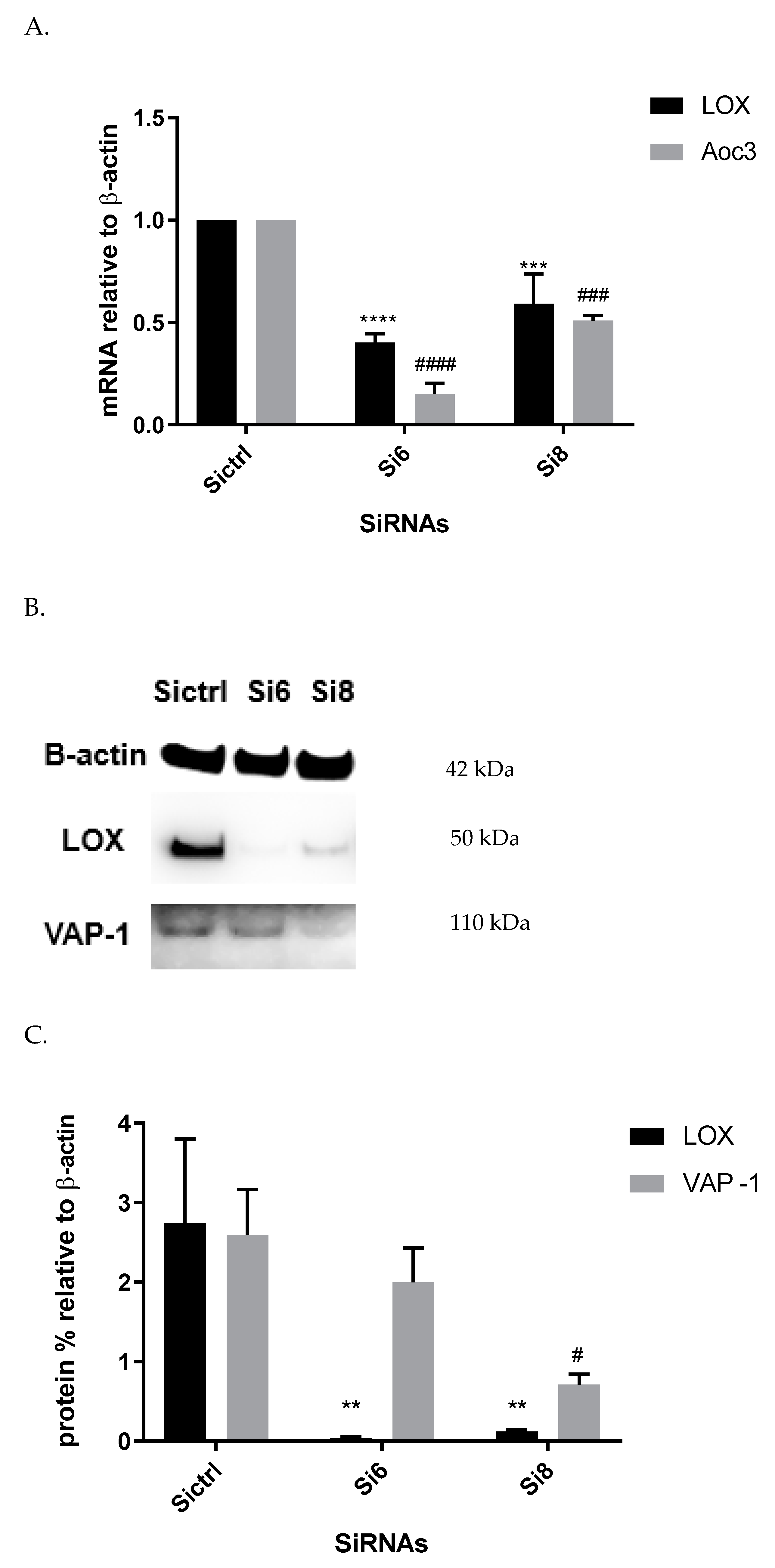 Biomolecules 12 01563 g006