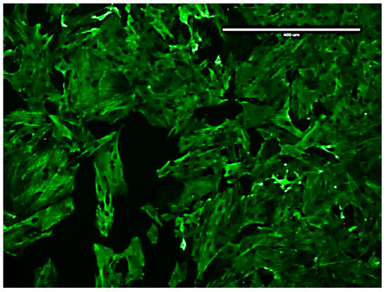Biomolecules 12 01563 g0a2