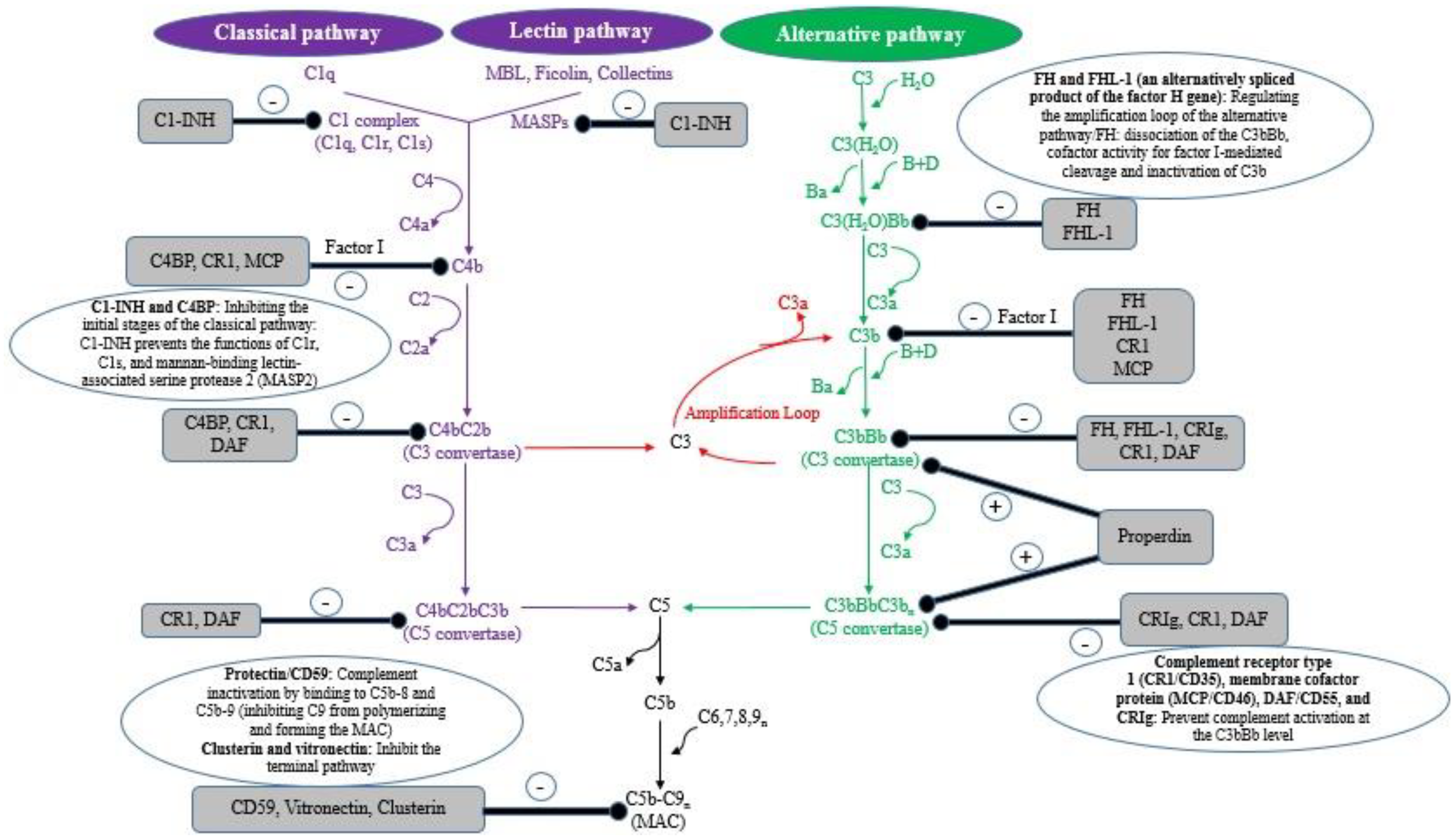Biomolecules 12 01564 g001