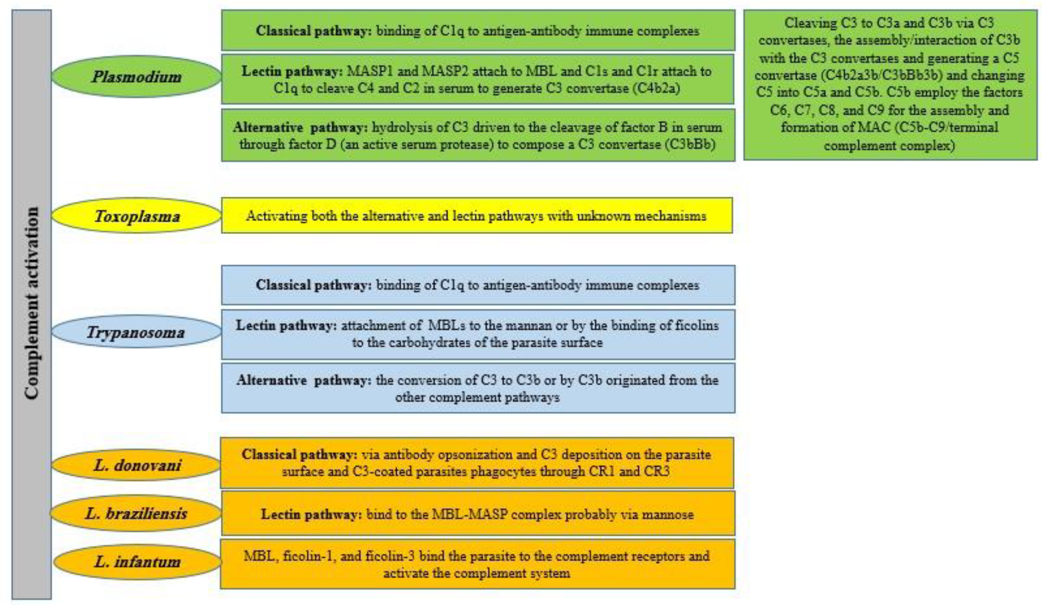 Biomolecules 12 01564 g002