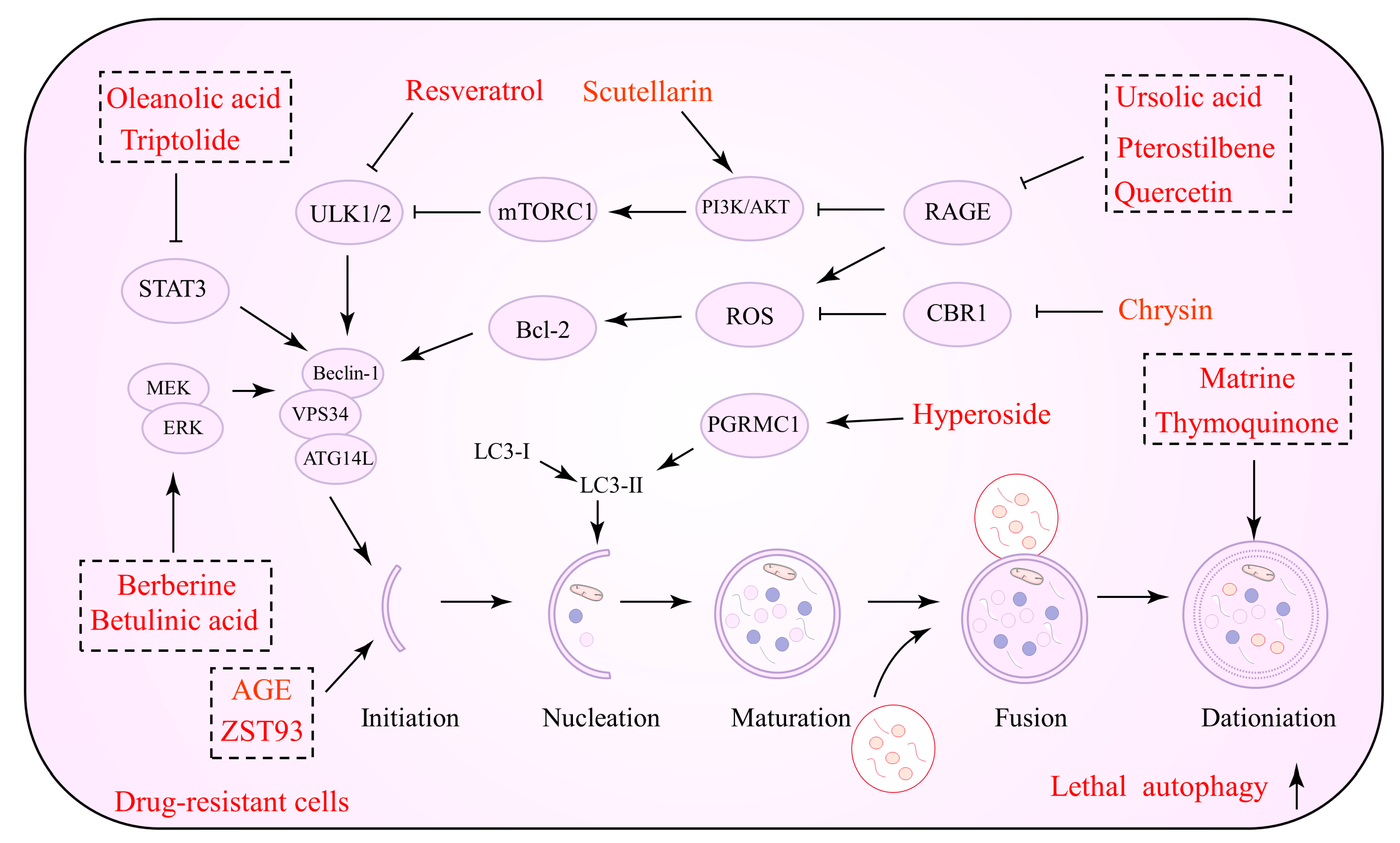 Biomolecules 12 01565 g001