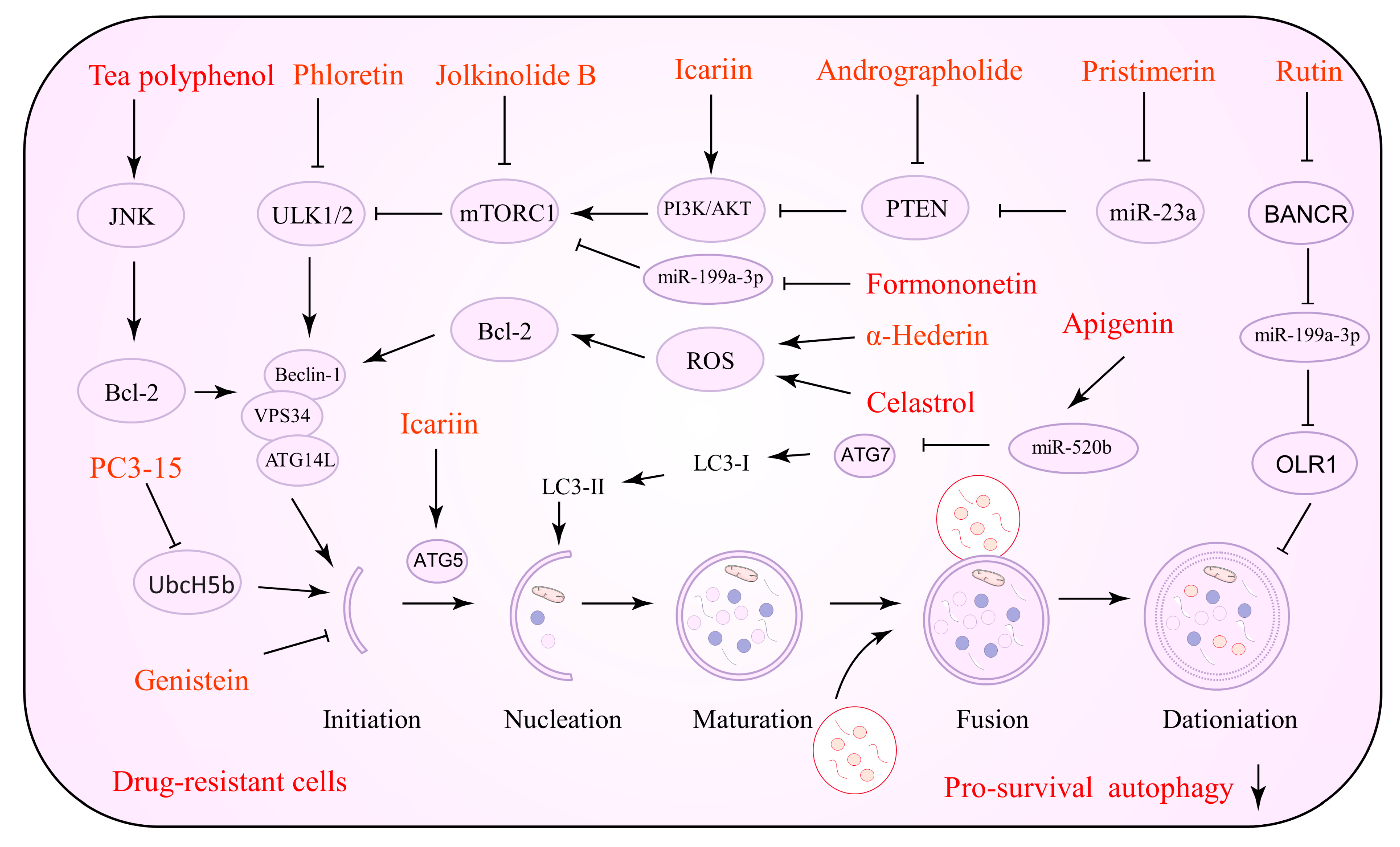 Biomolecules 12 01565 g002