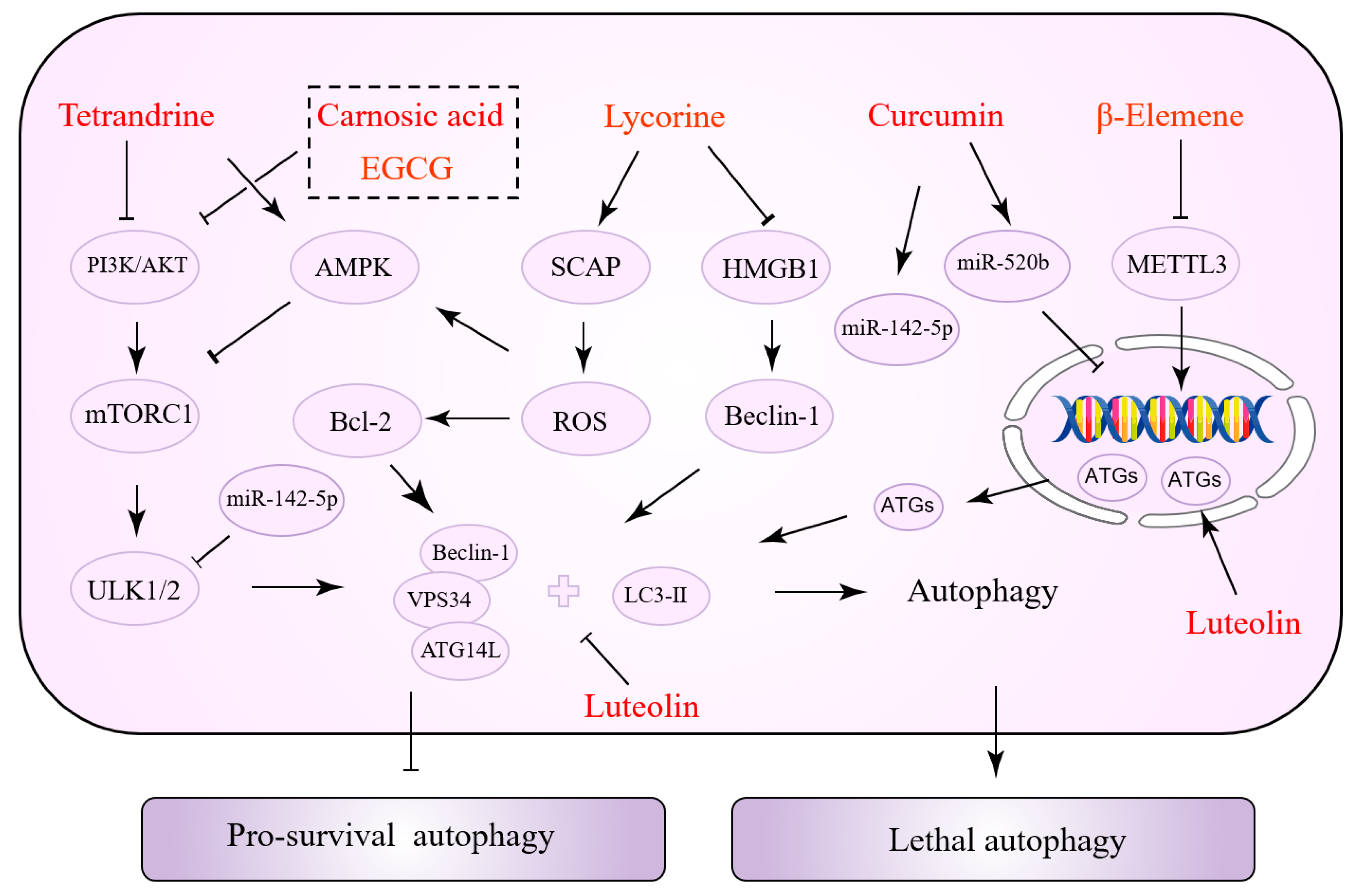Biomolecules 12 01565 g003