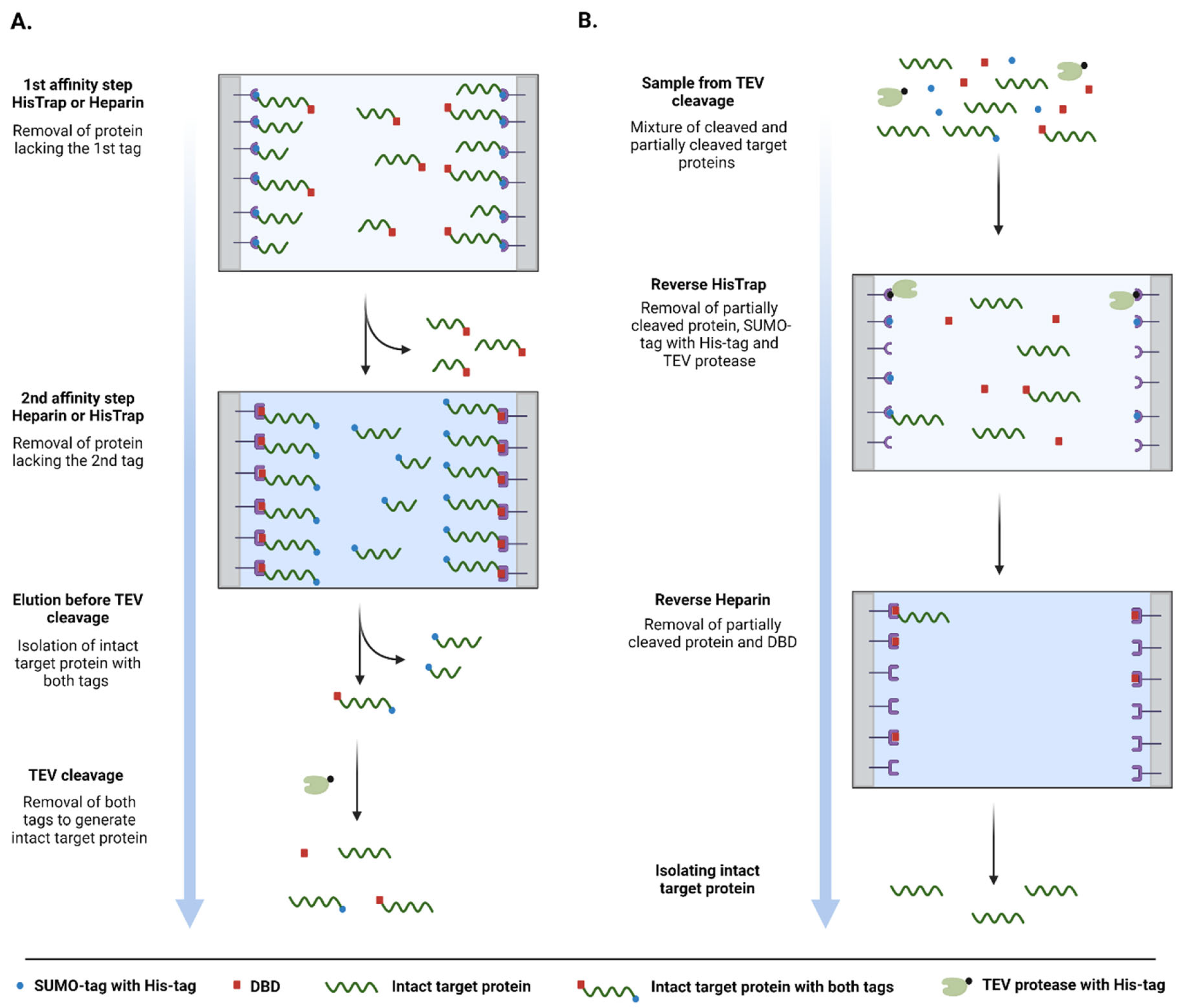 Biomolecules 12 01566 g002 Biomolecules 12 01566 g002