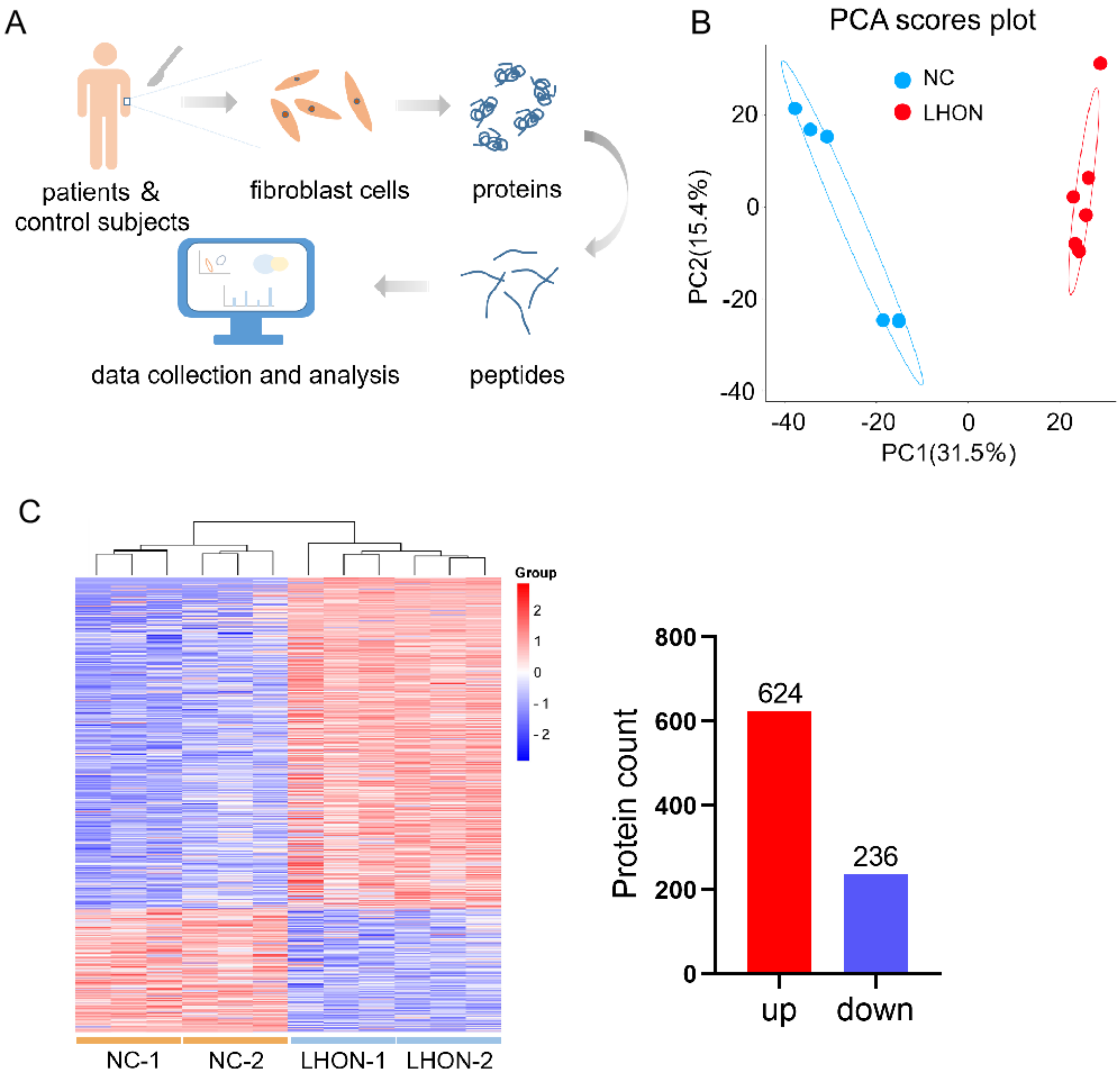 Biomolecules 12 01568 g001